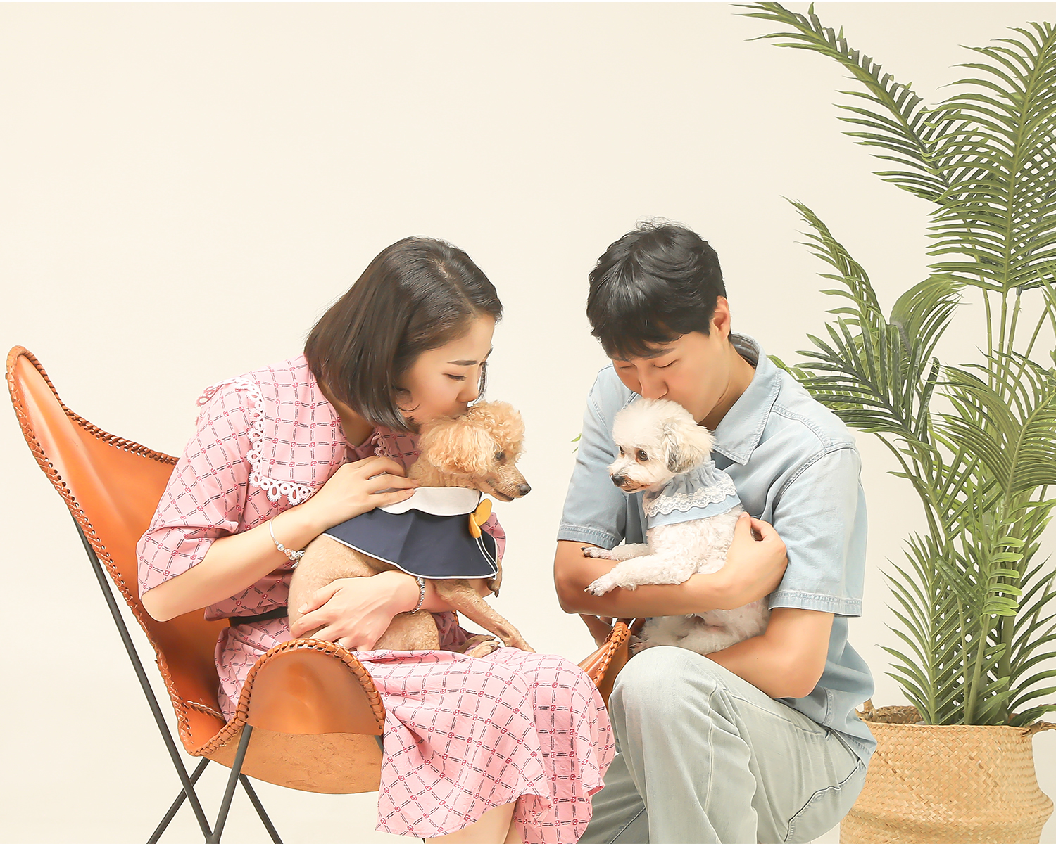 알록이 입양했어요