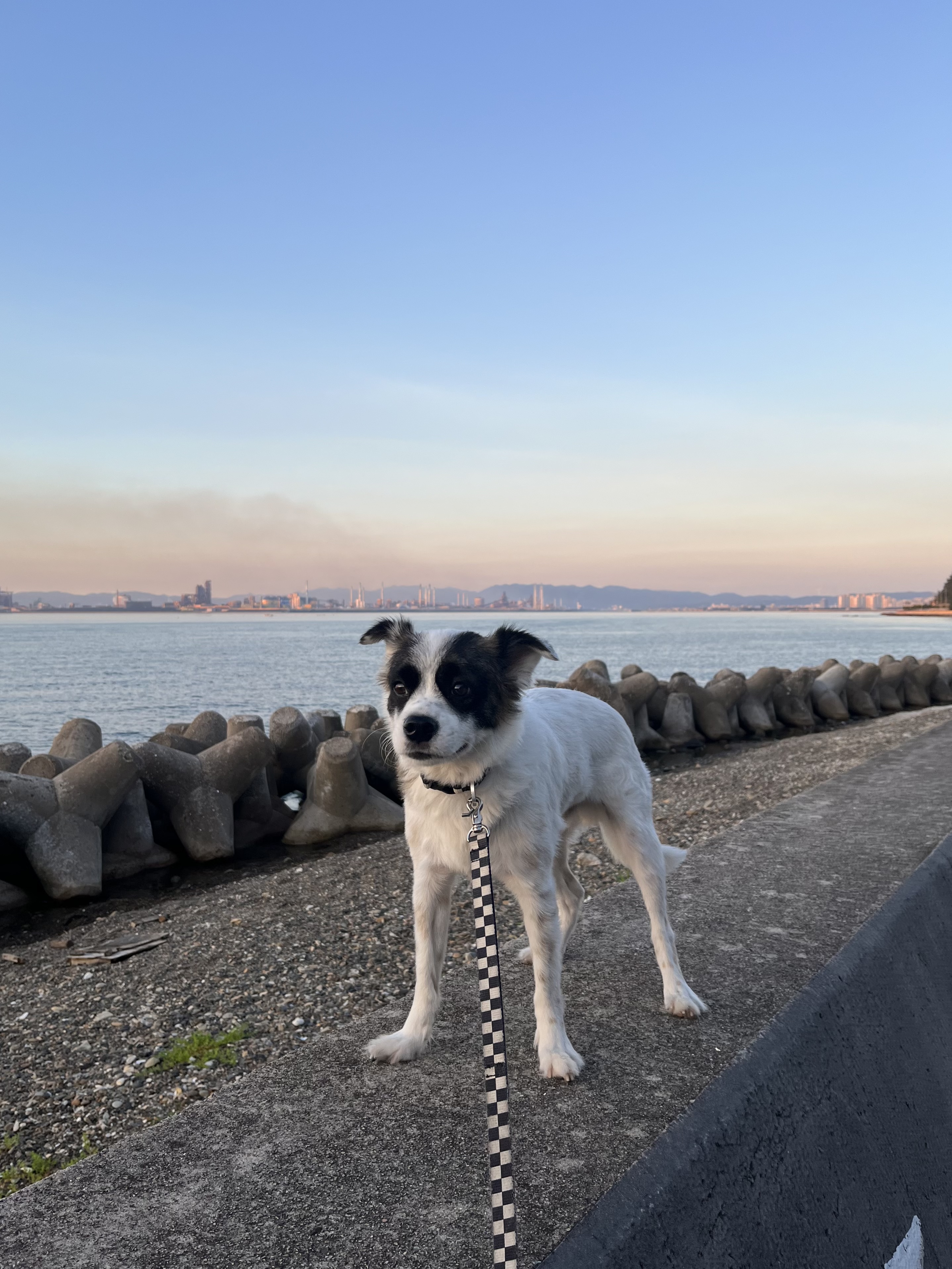 레오 잘 있어요!