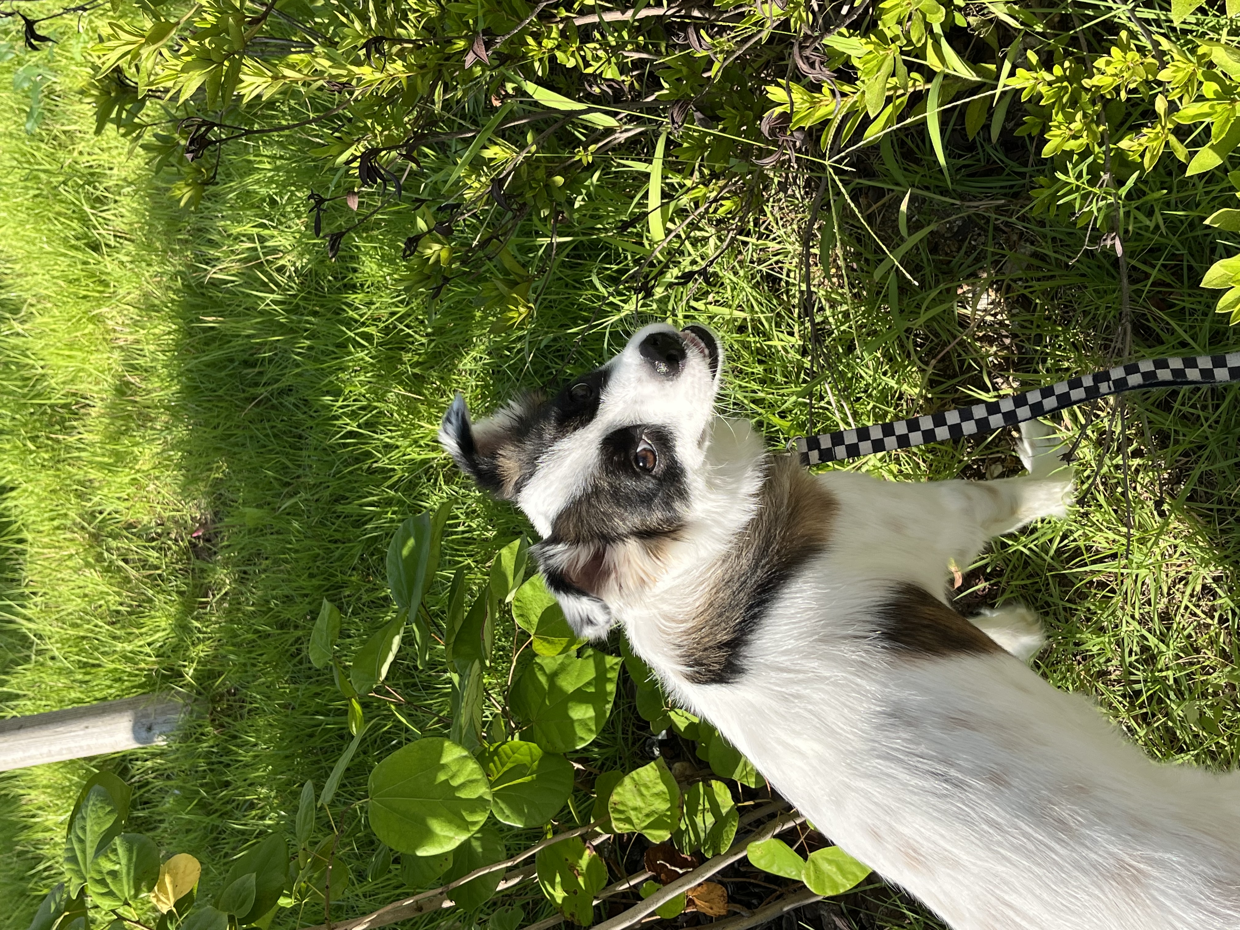 레오 잘 있어요!