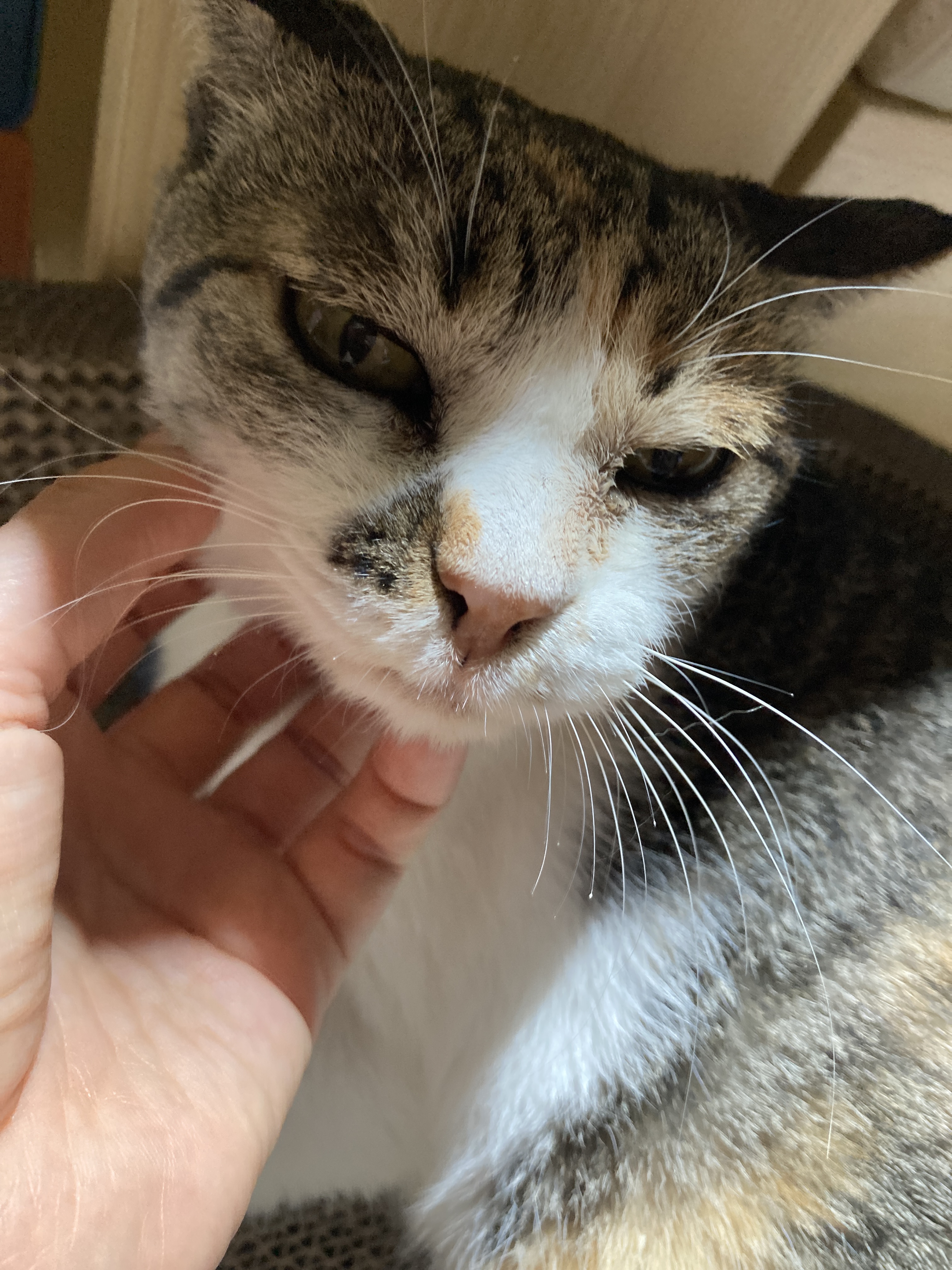 티니랑 벌써 1년