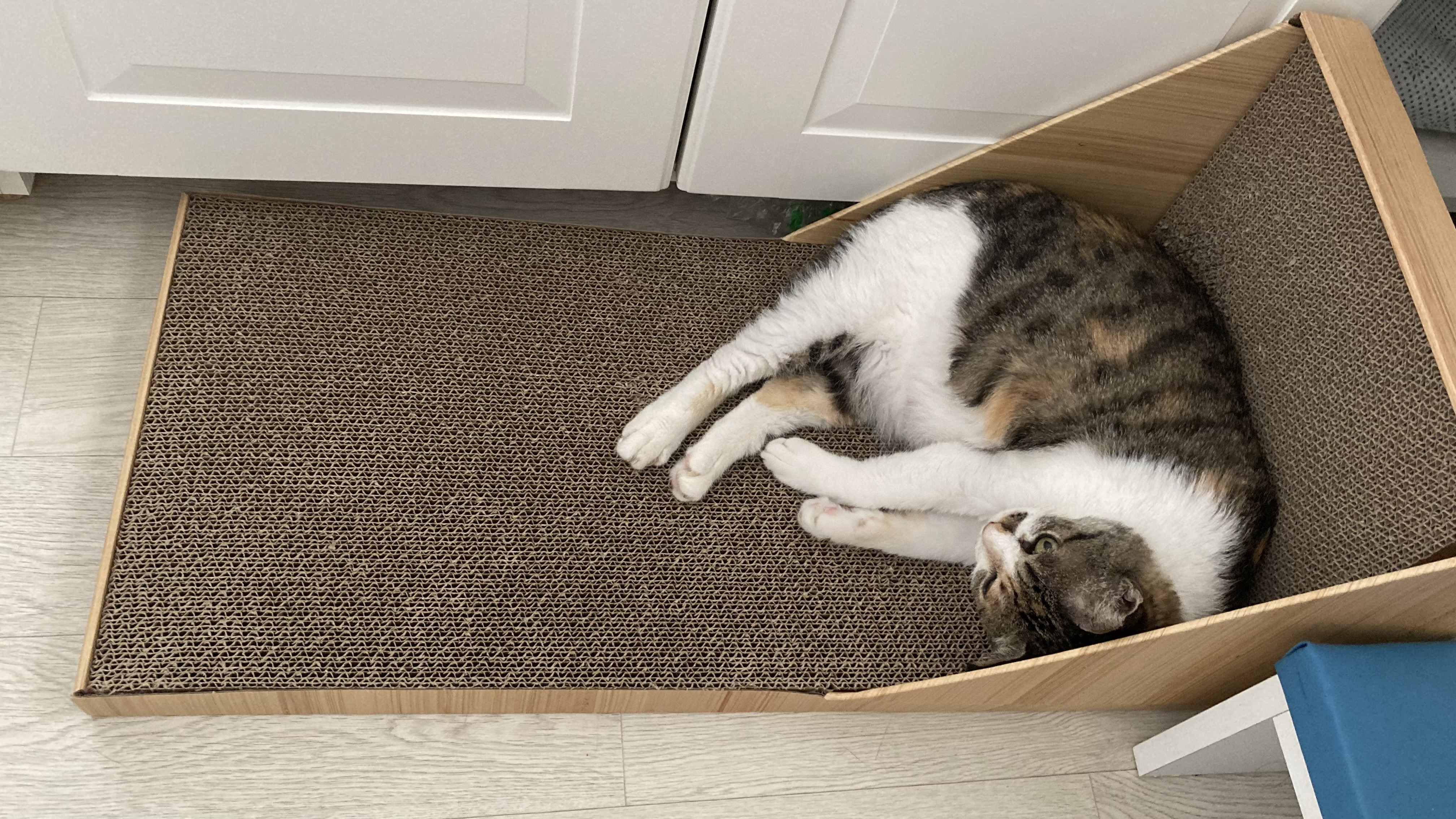 티니랑 벌써 1년