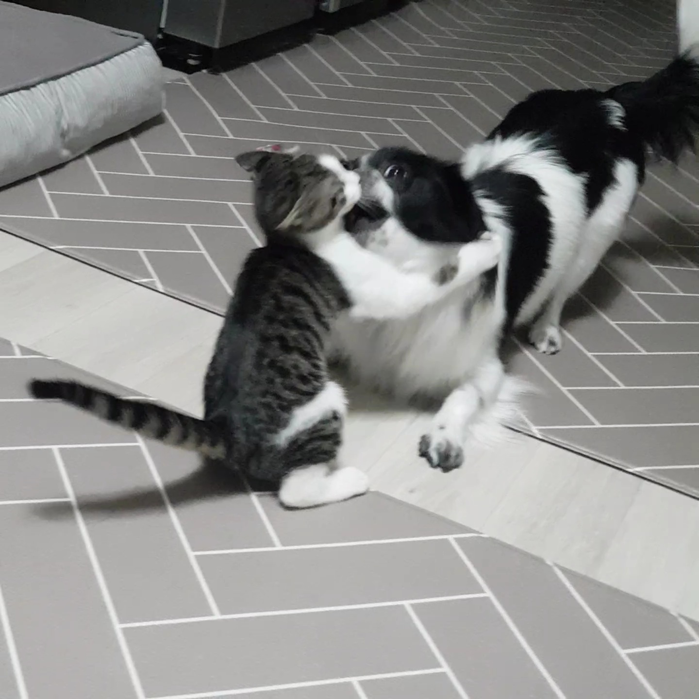 자이와 함께한 2년