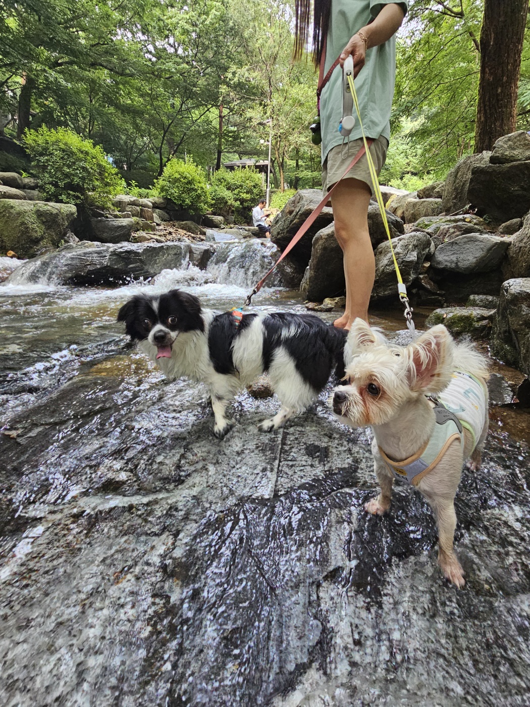 자이와 함께한 2년