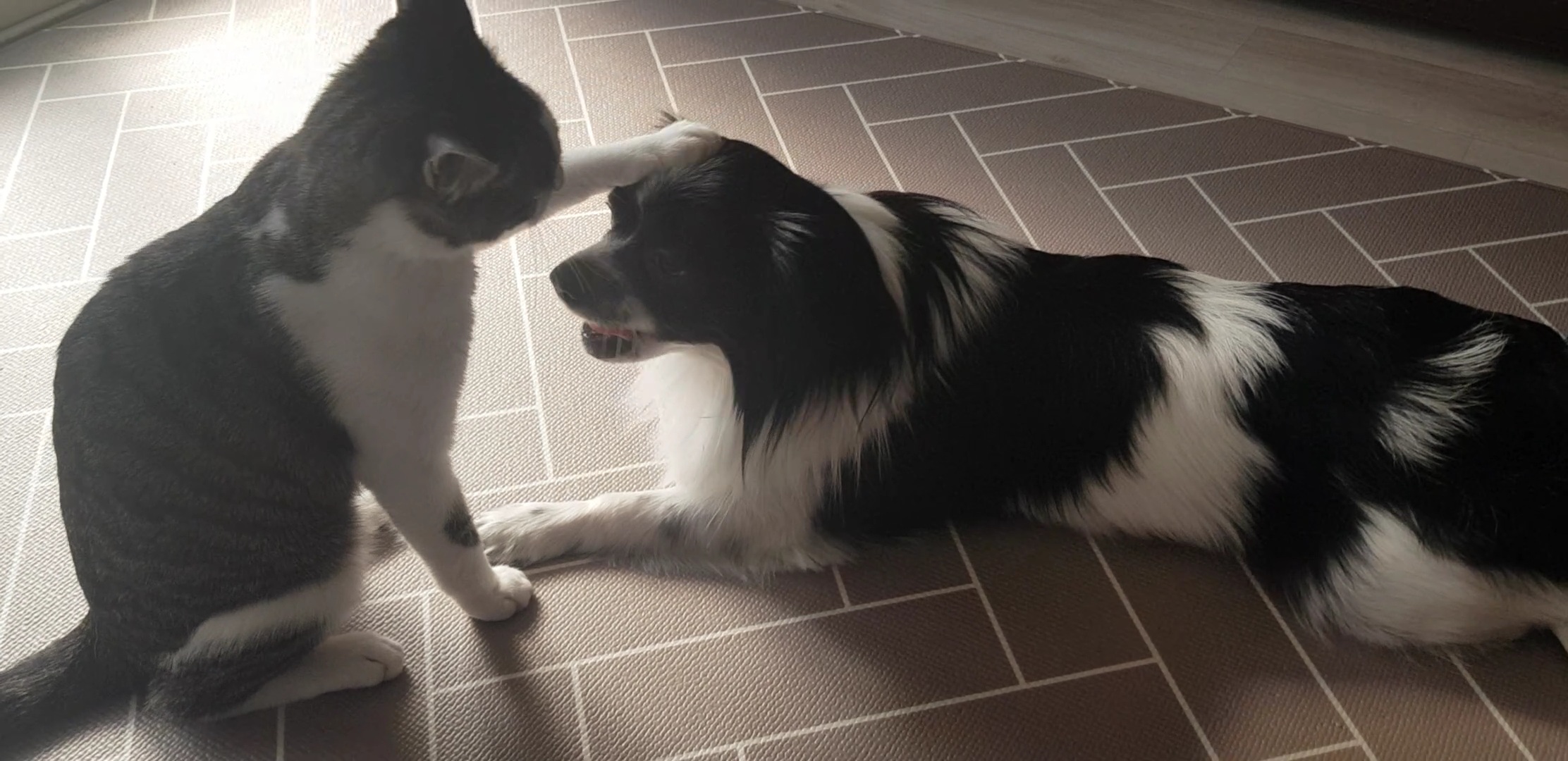 자이와 함께한 2년