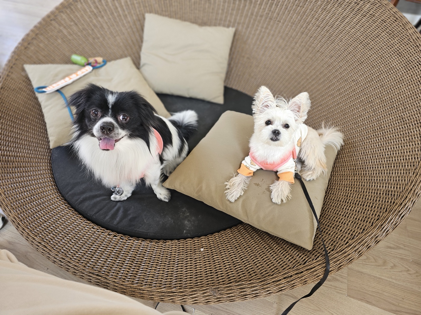 자이와 함께한 2년