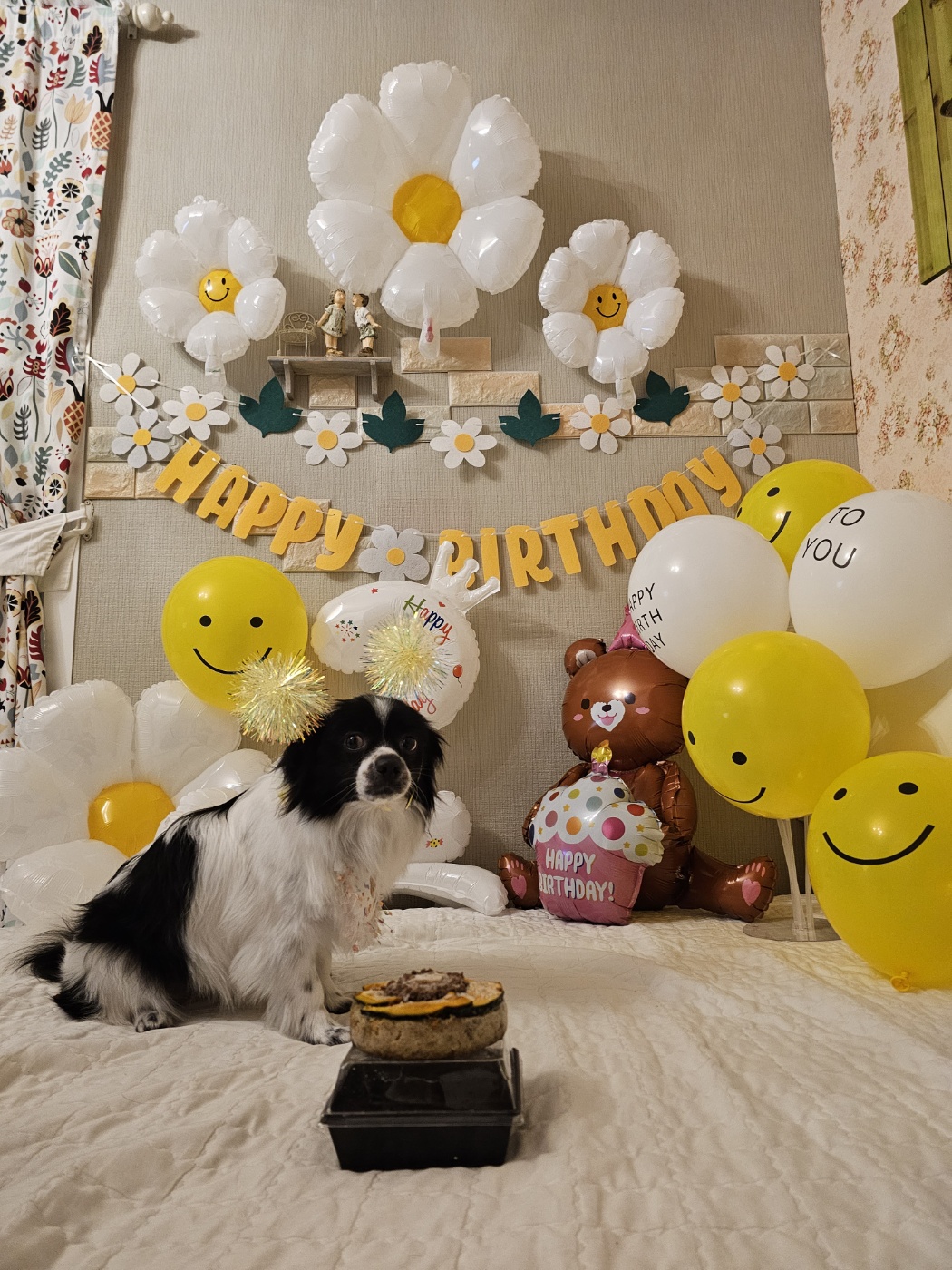 자이와 함께한 2년