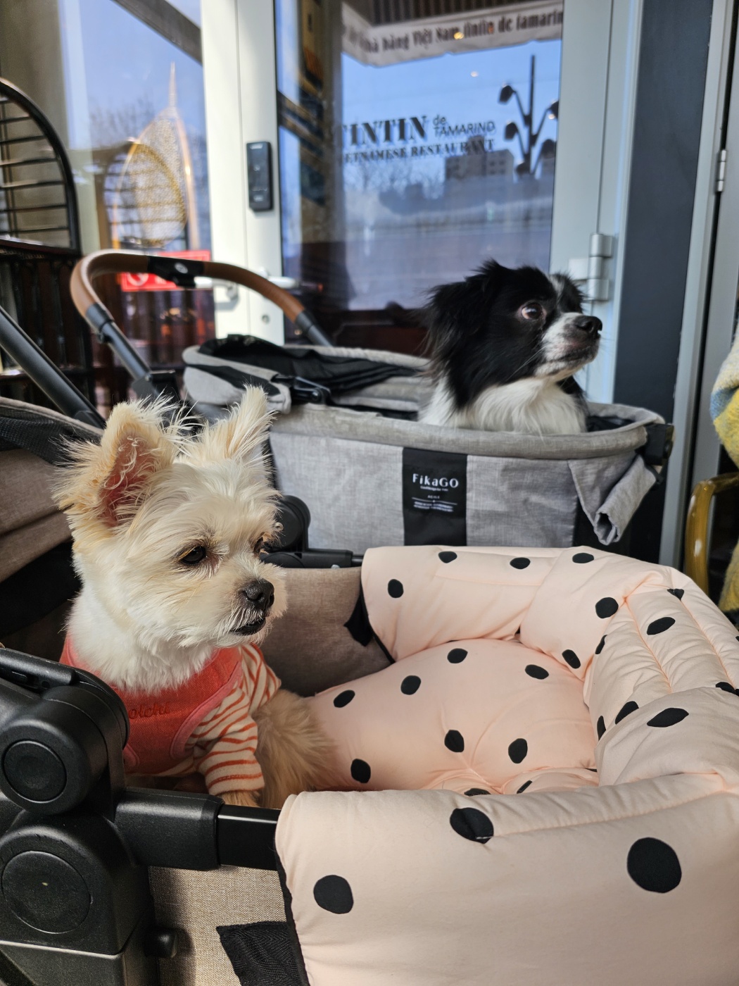 자이와 함께한 2년