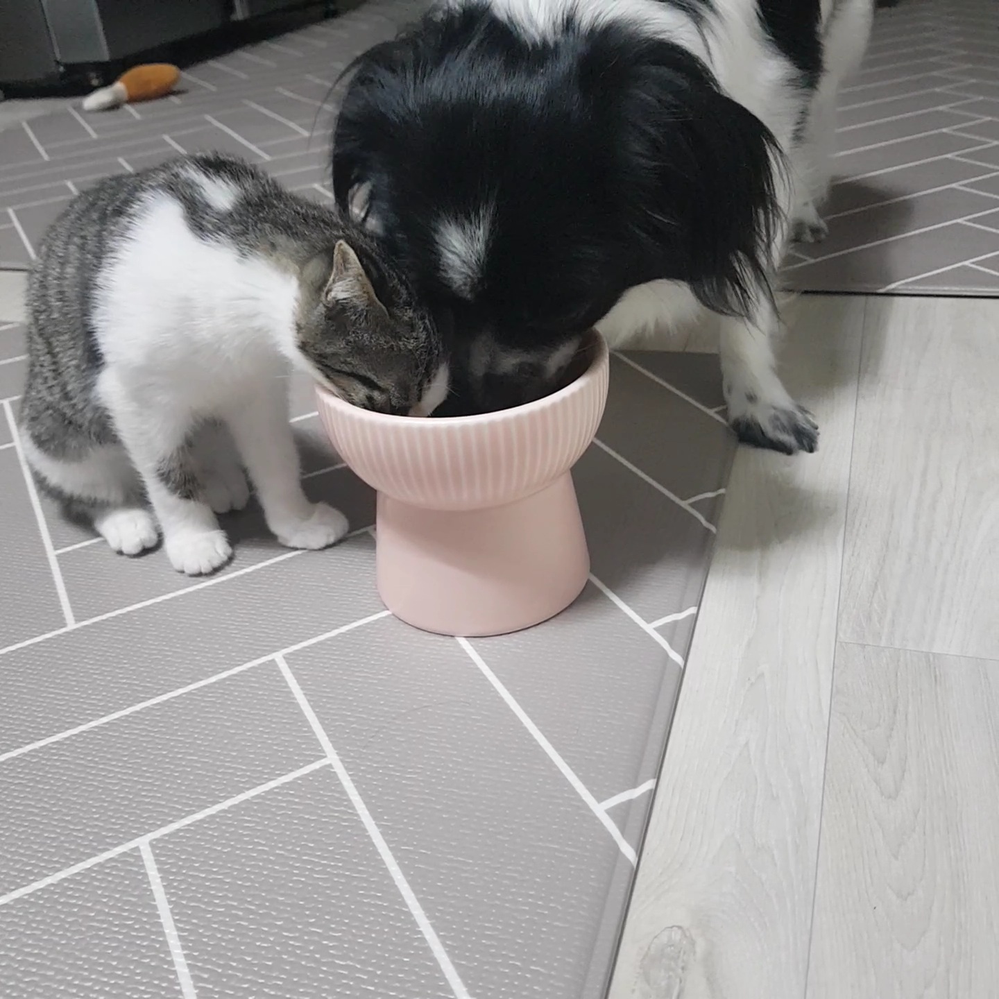 자이와 함께한 2년