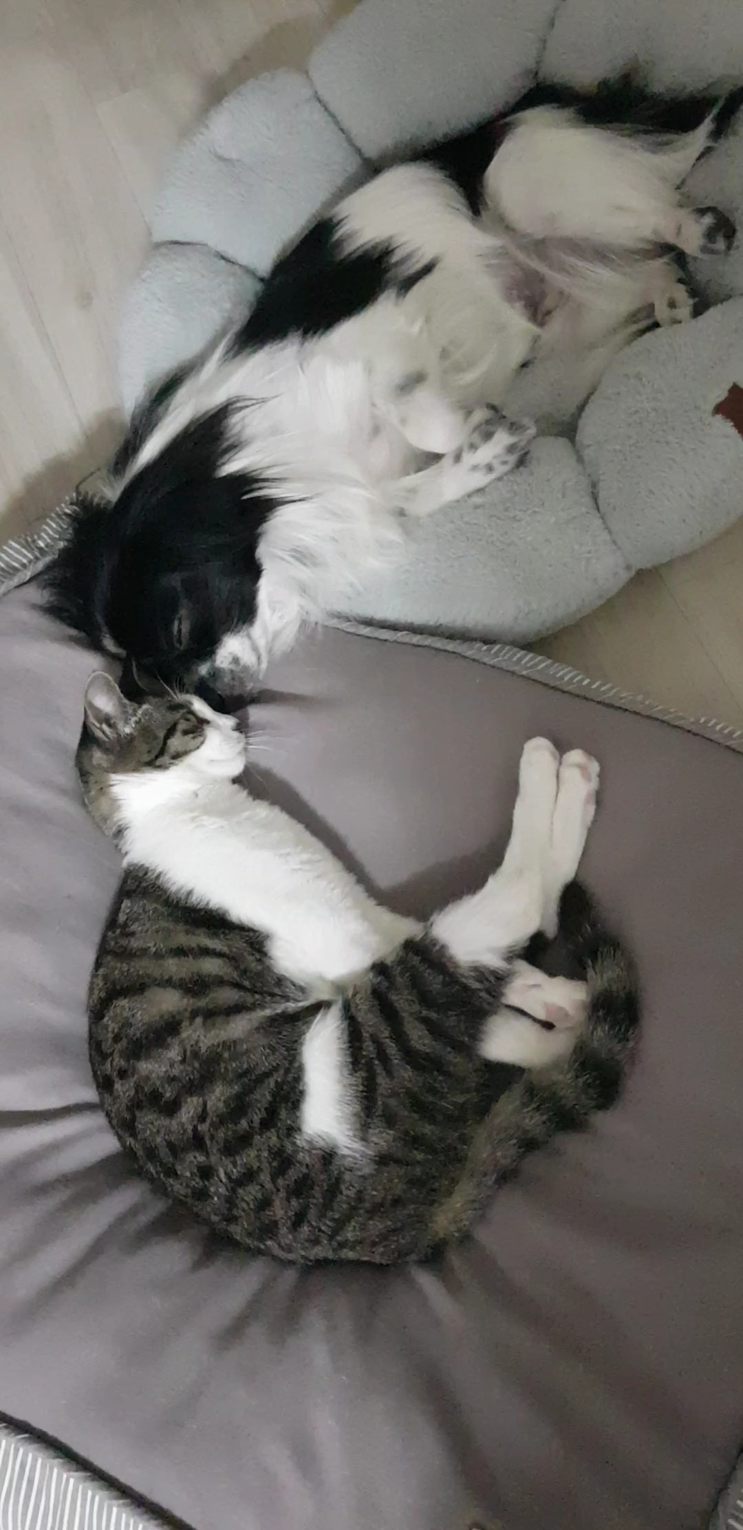 자이와 함께한 2년