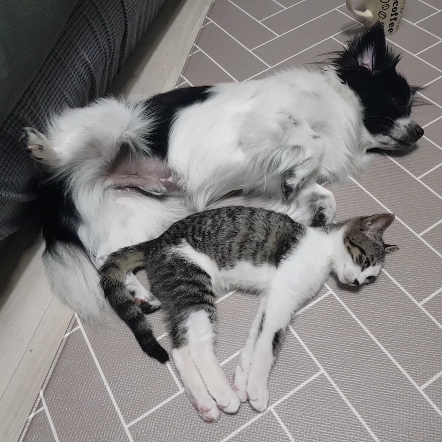 자이와 함께한 2년