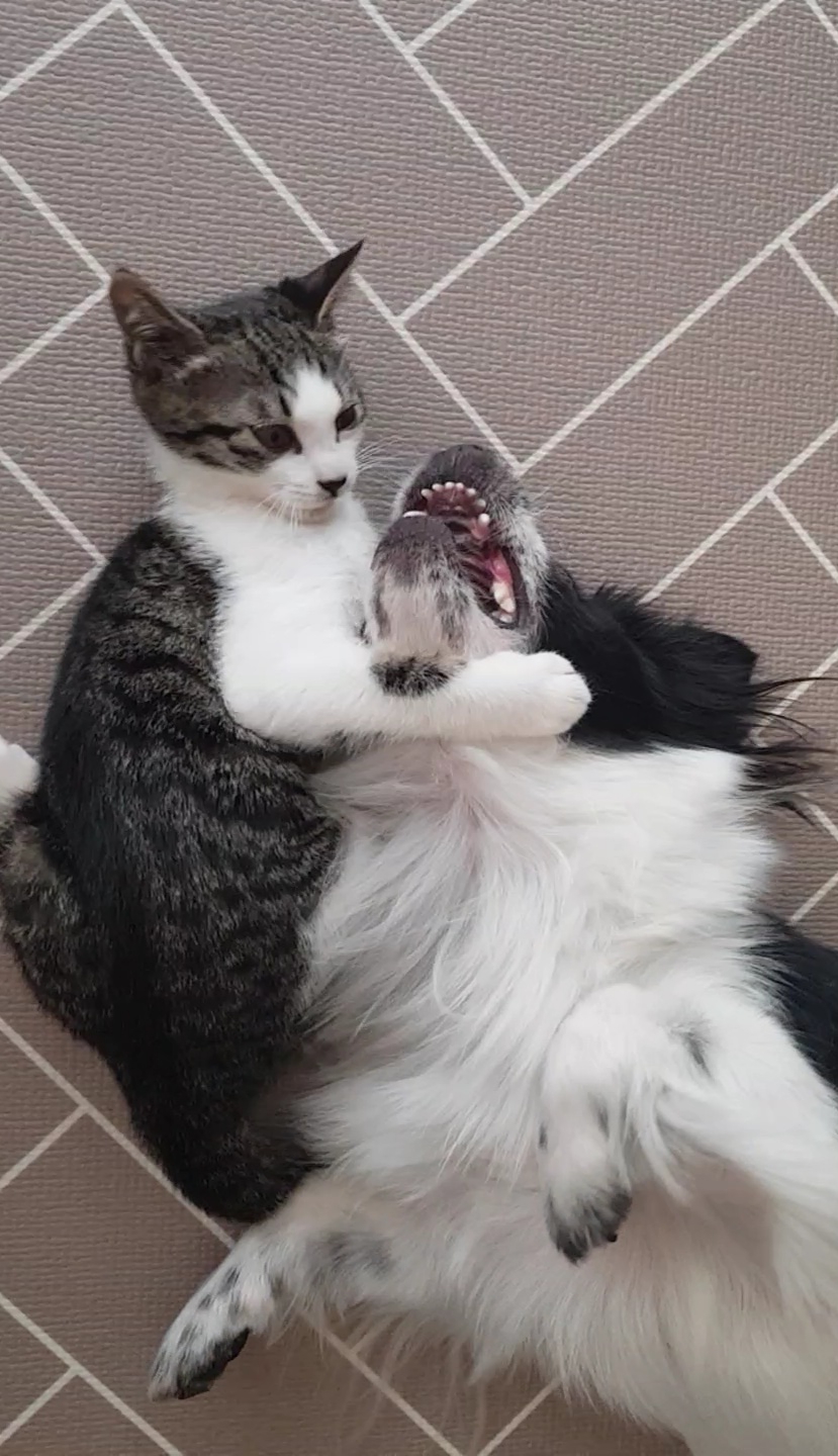 자이와 함께한 2년