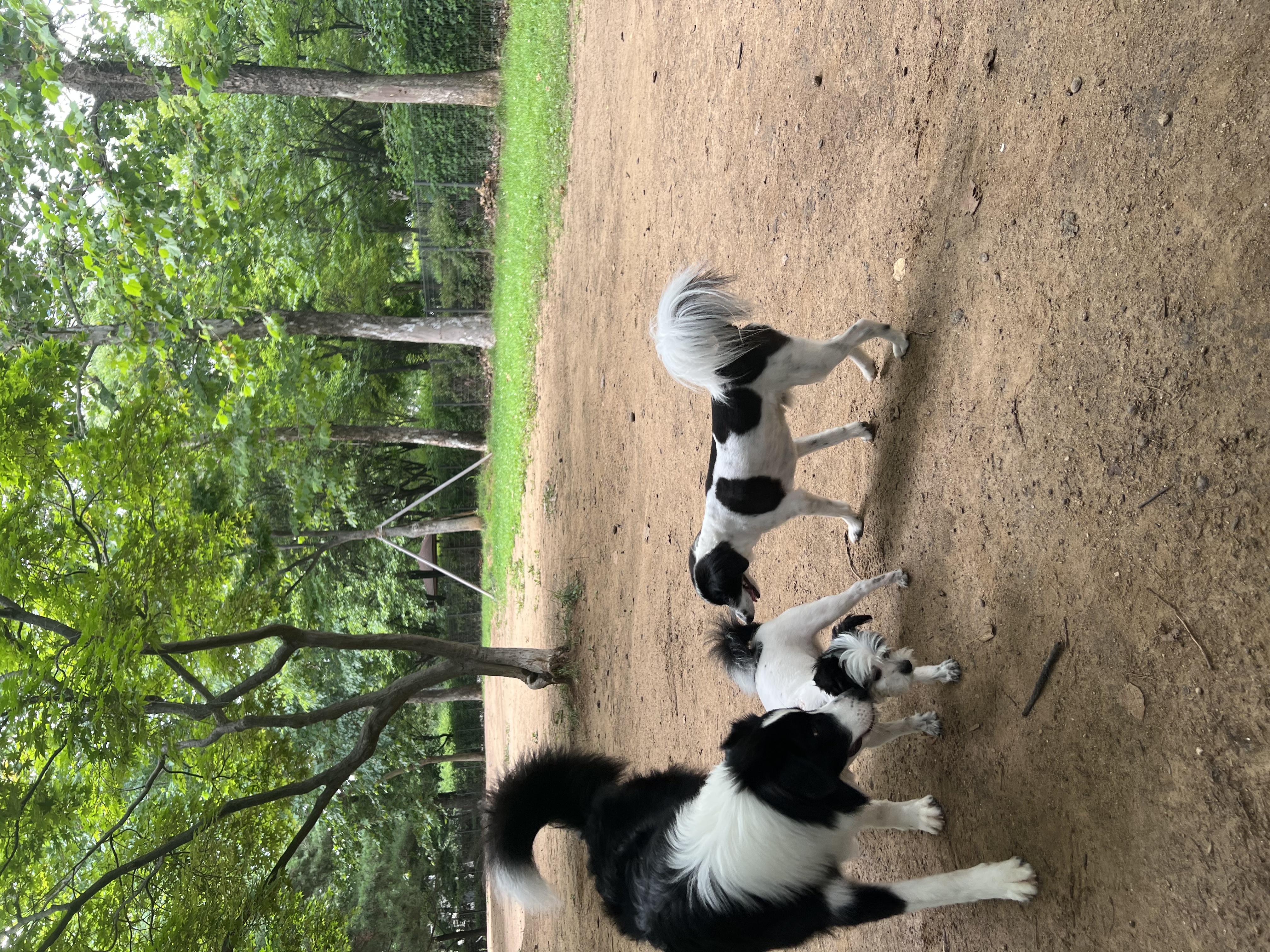 양주 라이카와 아산 리코(포포) 의 근황💛