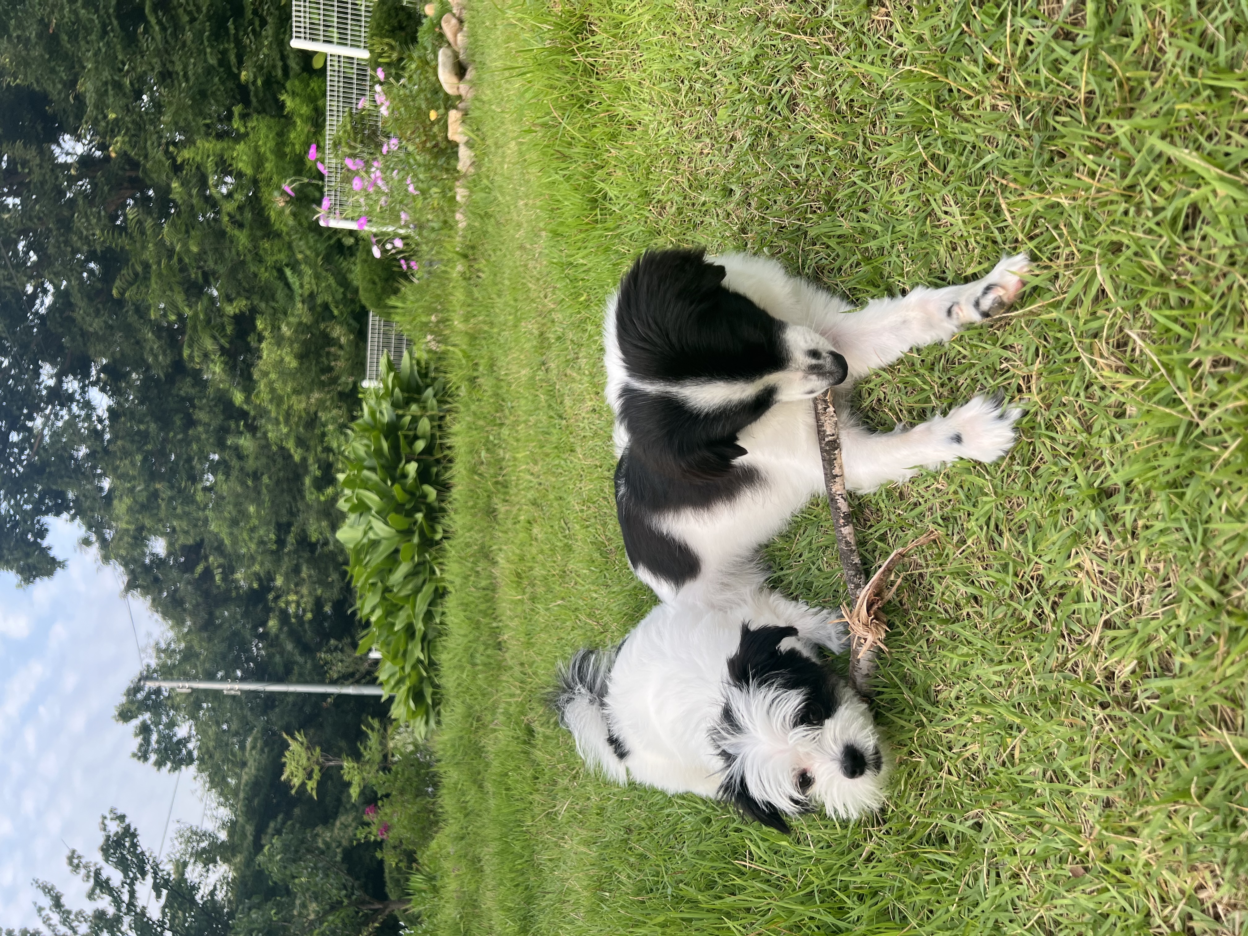 양주 라이카와 아산 리코(포포) 의 근황💛