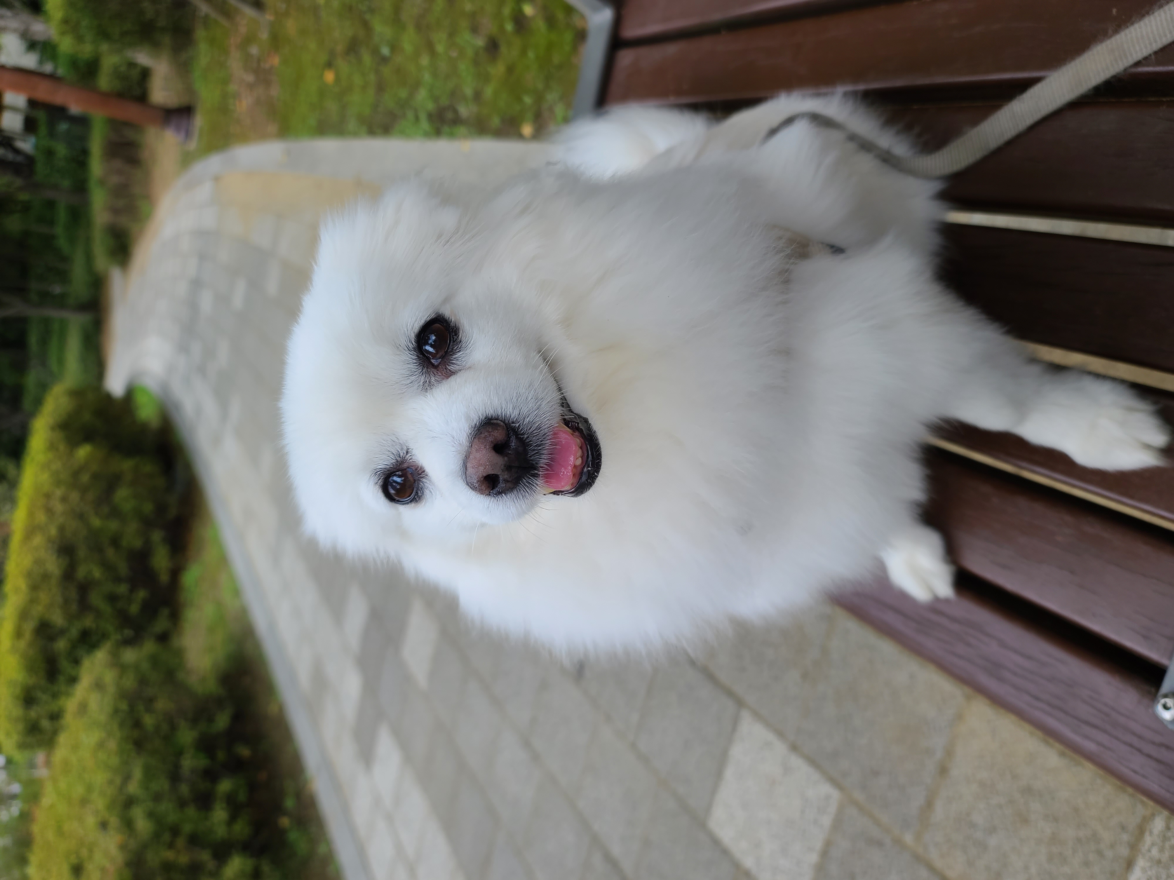 구름이가 온지 2년이 넘었네요~^^