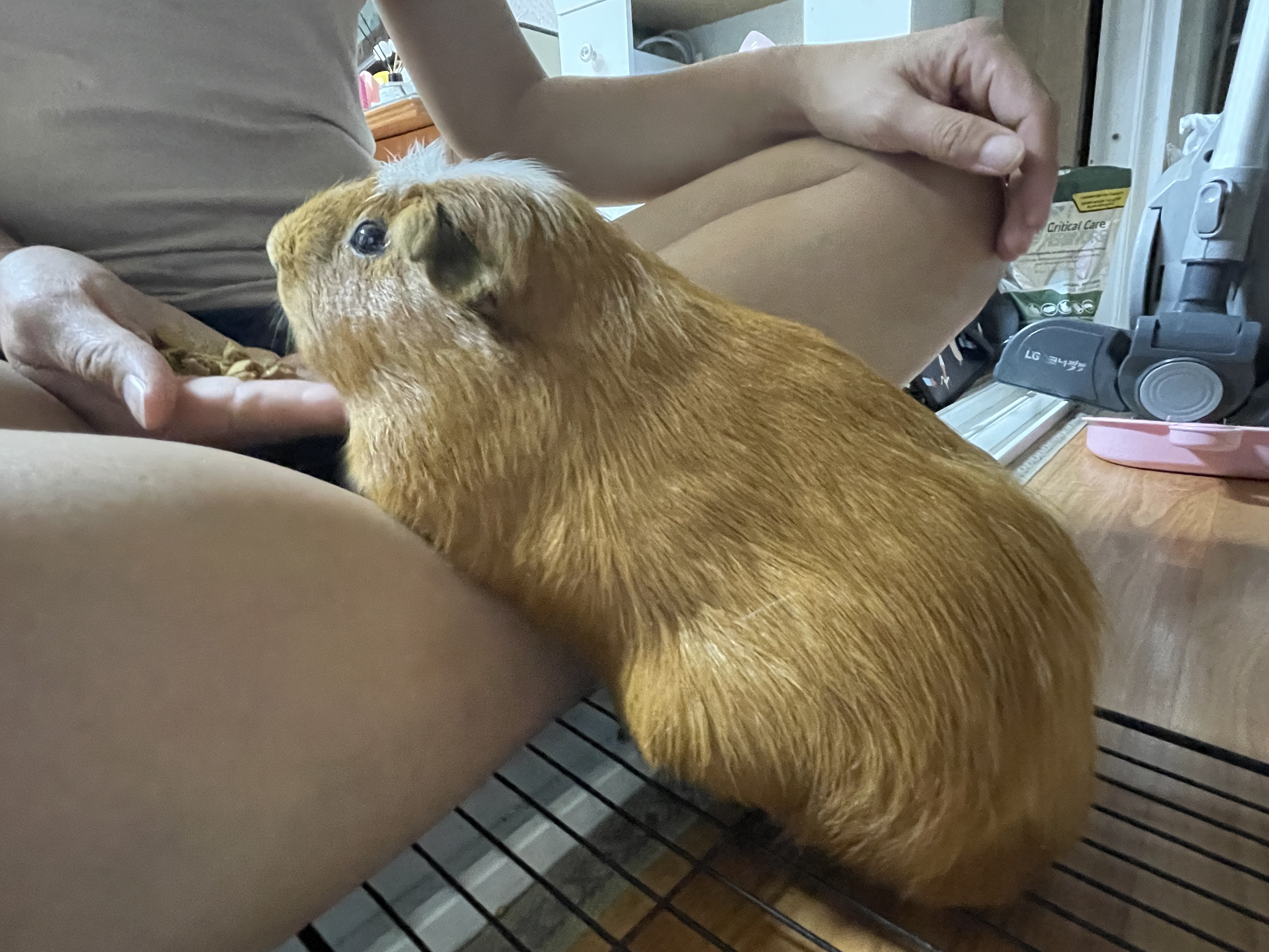 모카(홧팅)라떼(내라) 3주년><