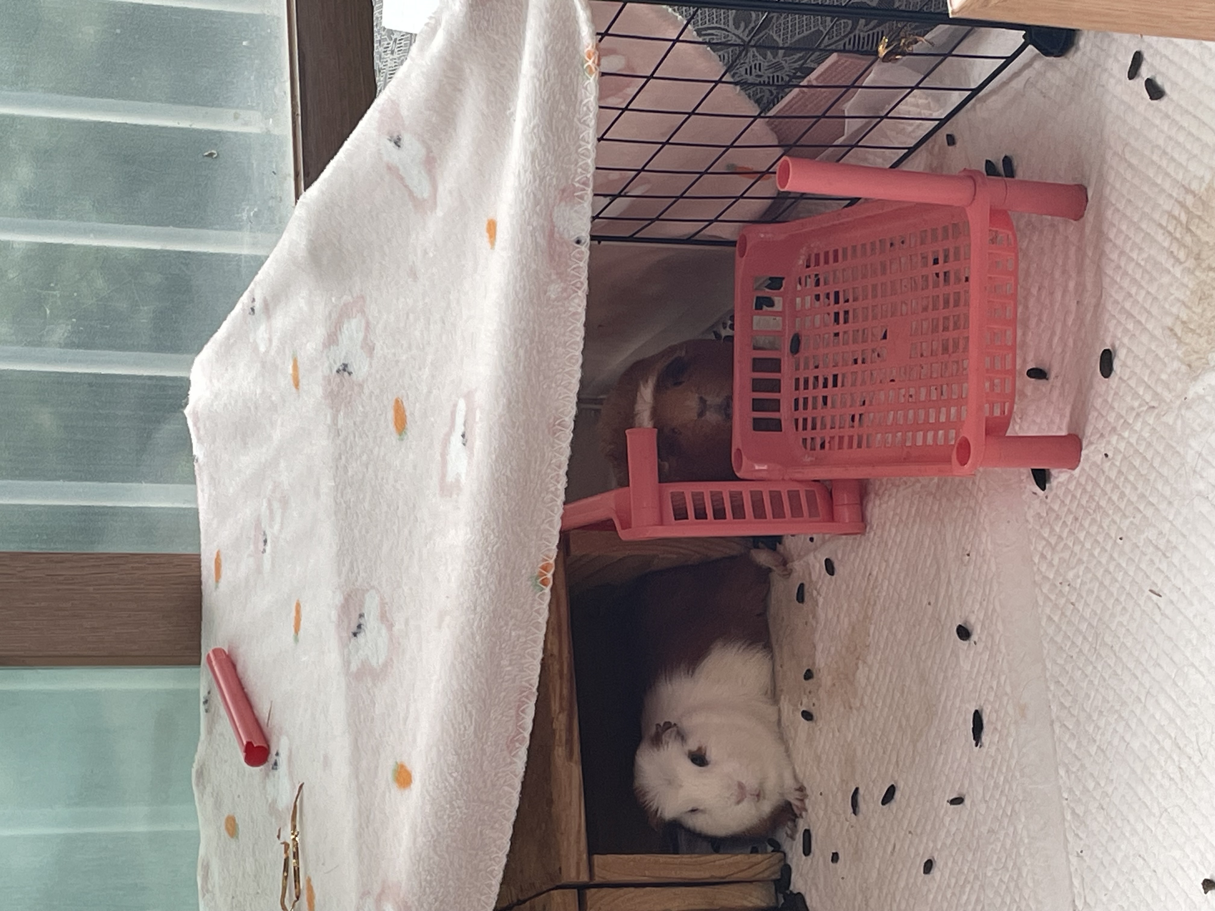 모카(홧팅)라떼(내라) 3주년><