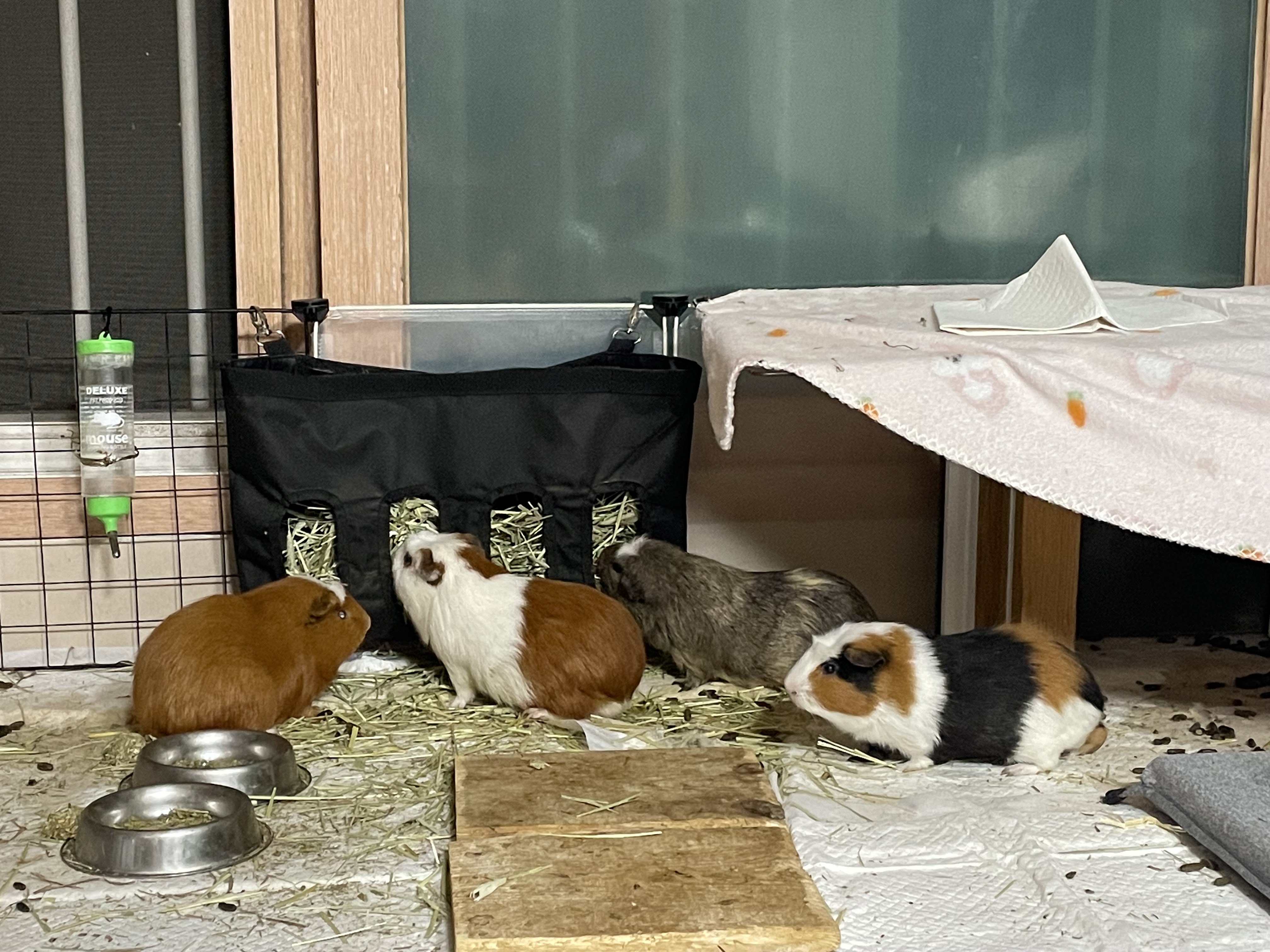 모카(홧팅)라떼(내라) 3주년><