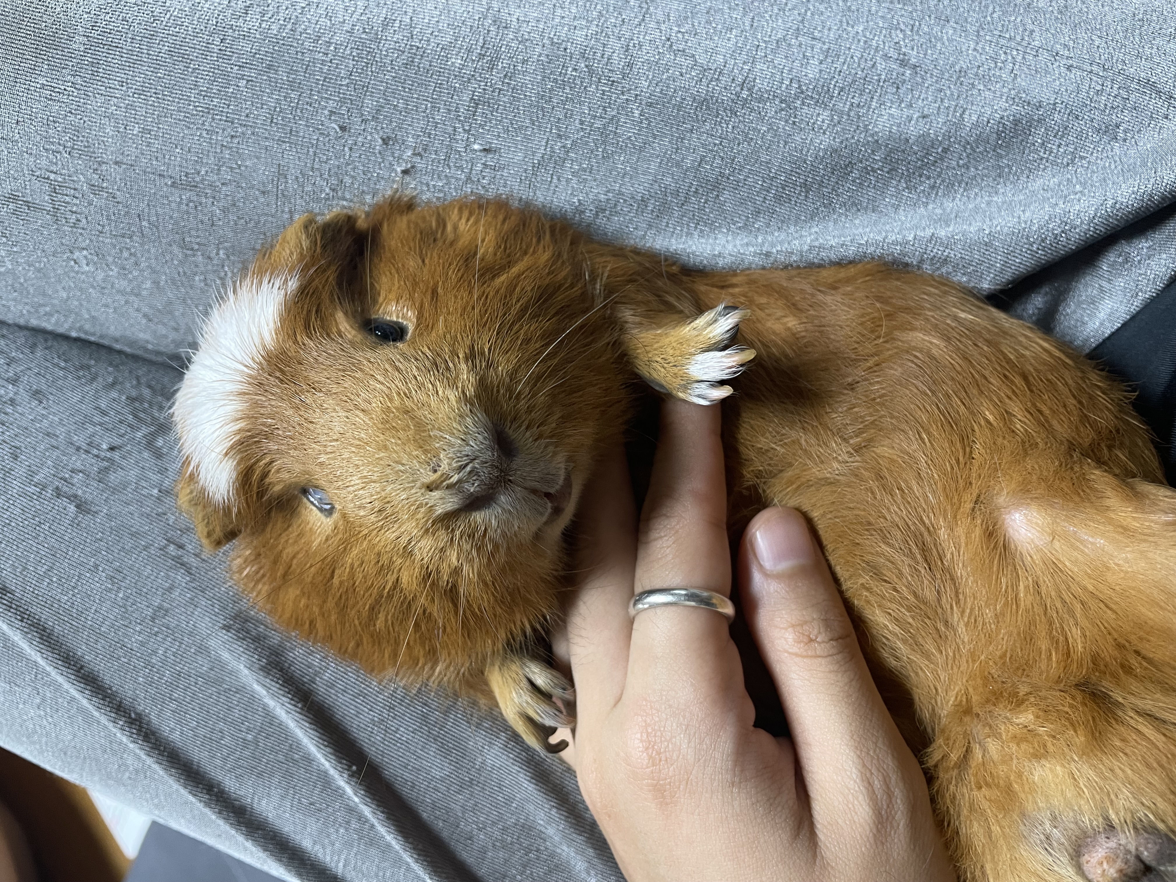 모카(홧팅)라떼(내라) 3주년><