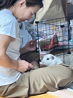 모카(홧팅)라떼(내라) 3주년><