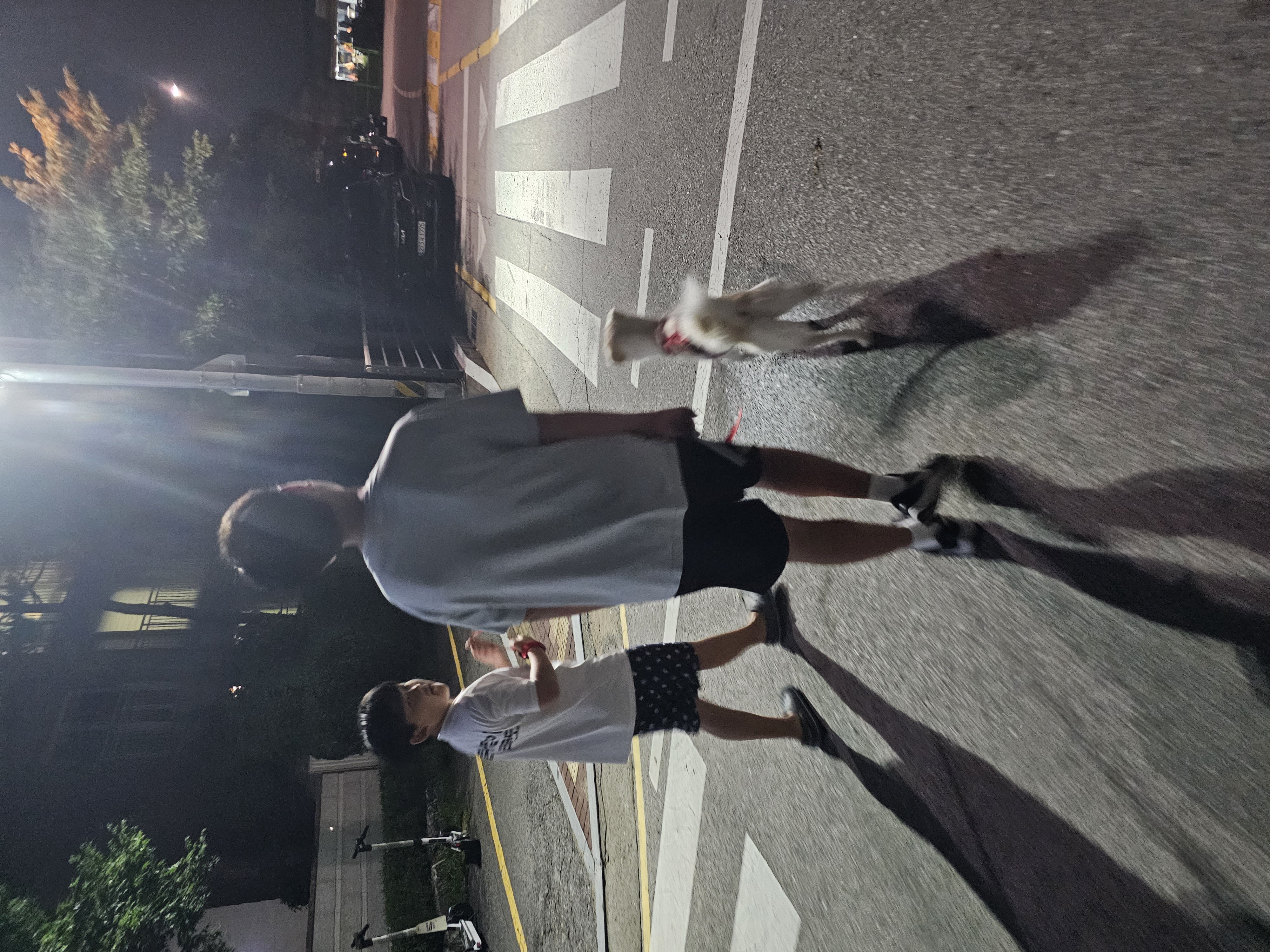 하양이(시도) 입양2년차 입니다