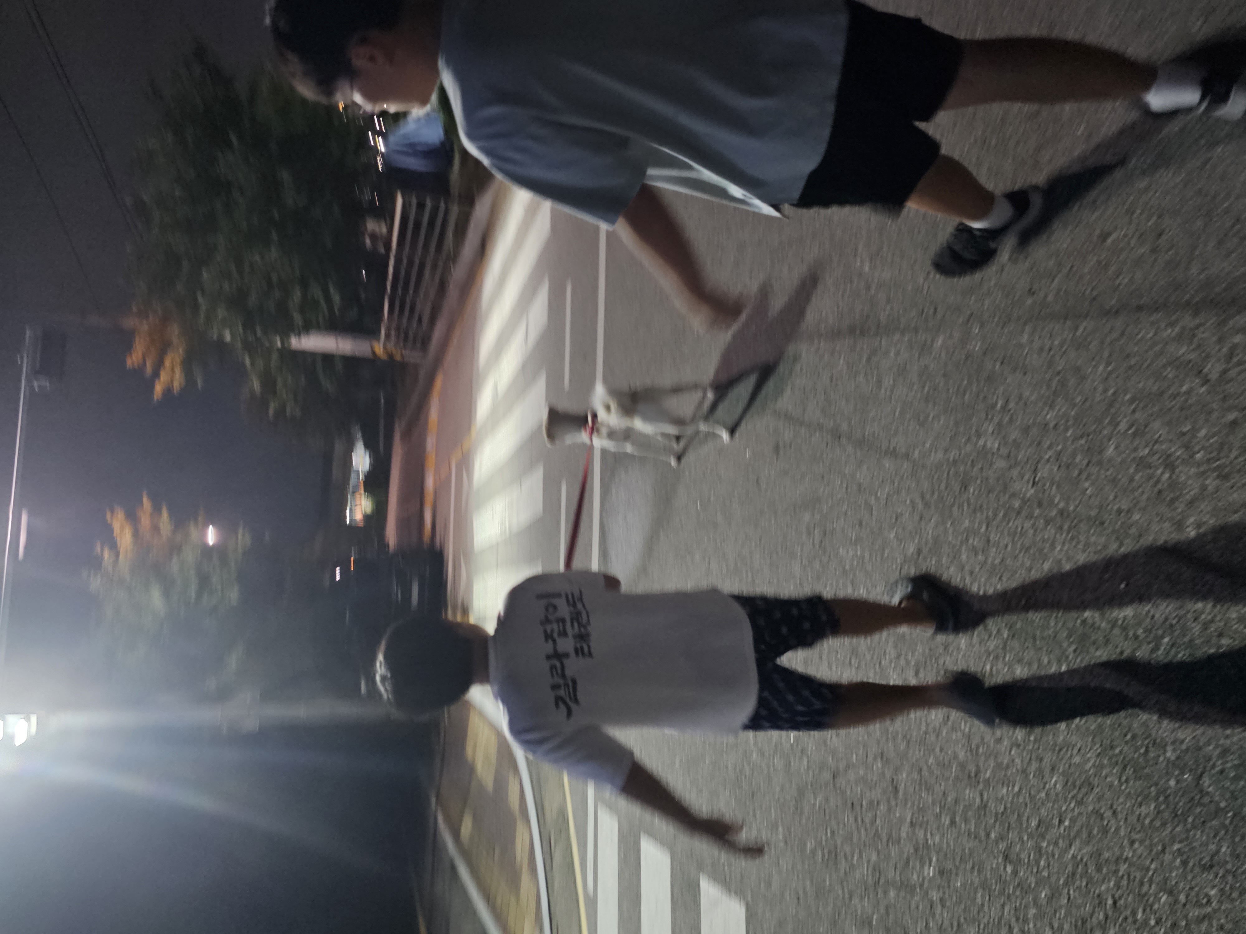 하양이(시도) 입양2년차 입니다