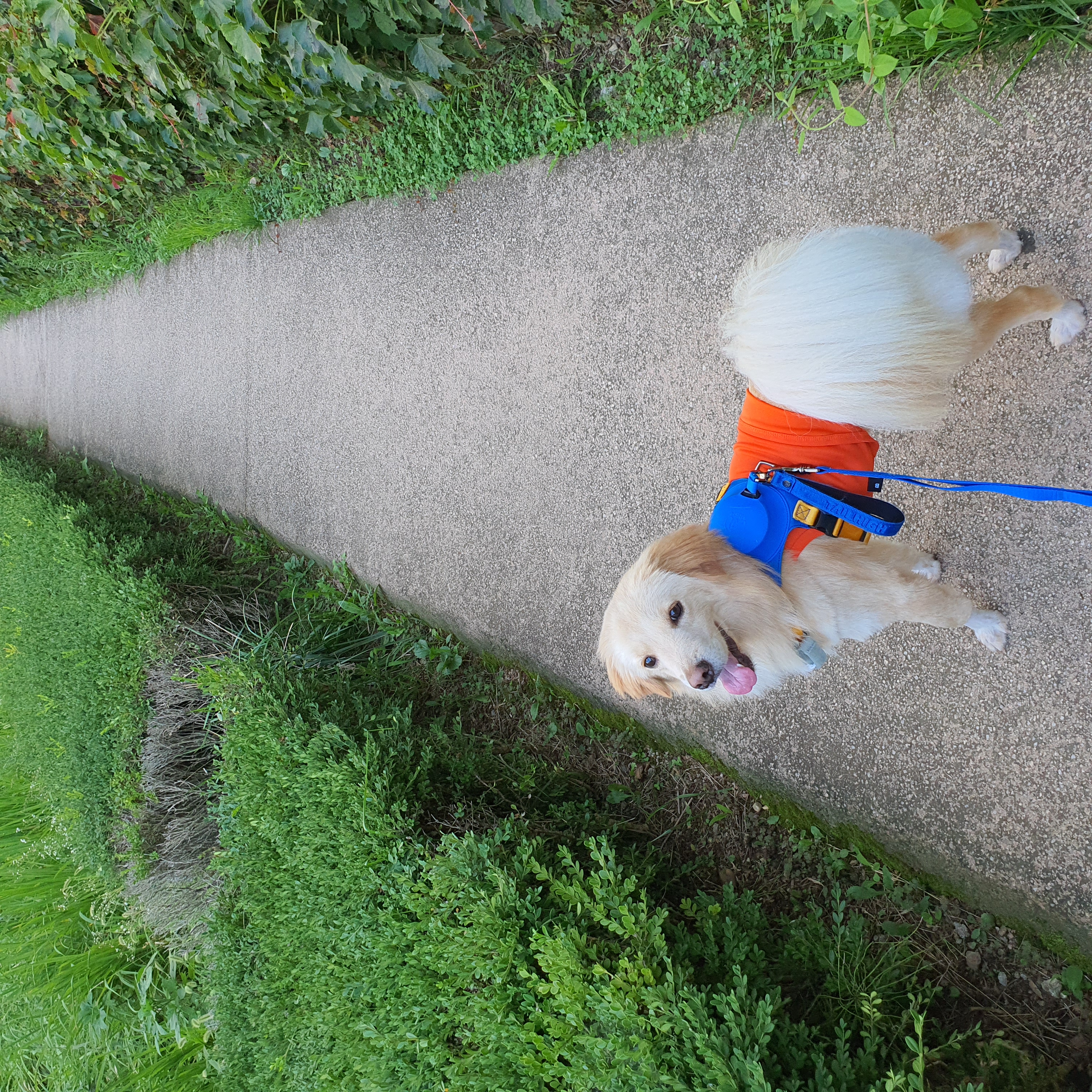 자몽이(구 육콩이)와 함께한 3개월