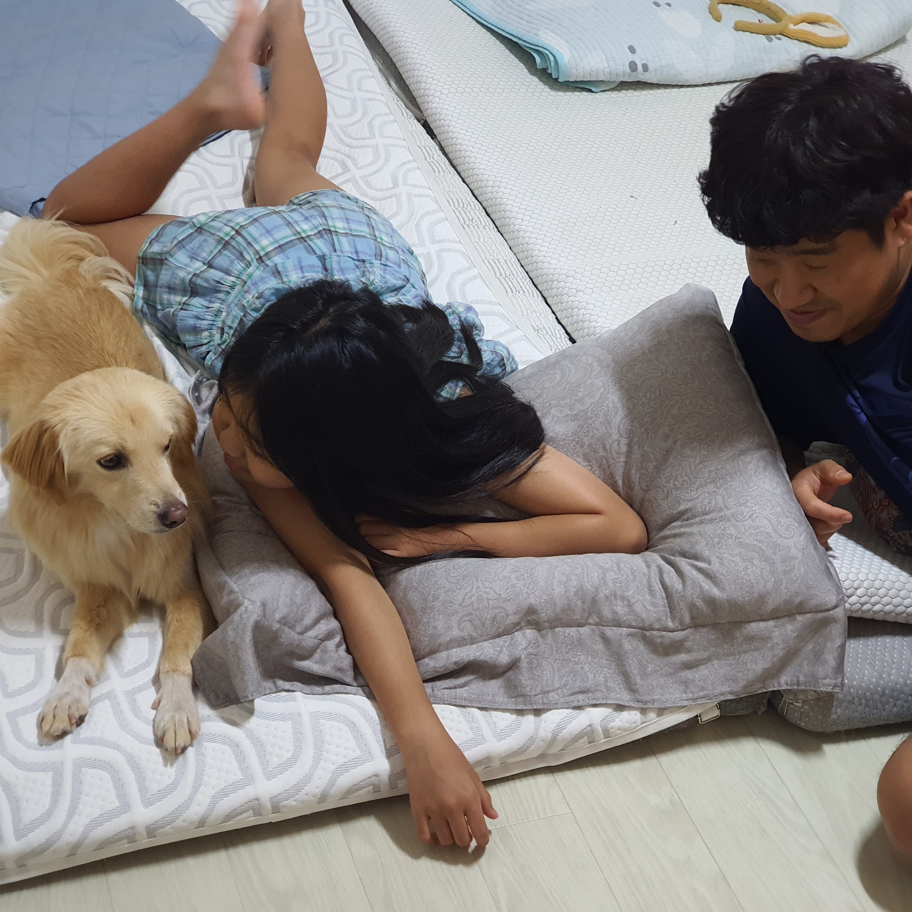 자몽이(구 육콩이)와 함께한 3개월