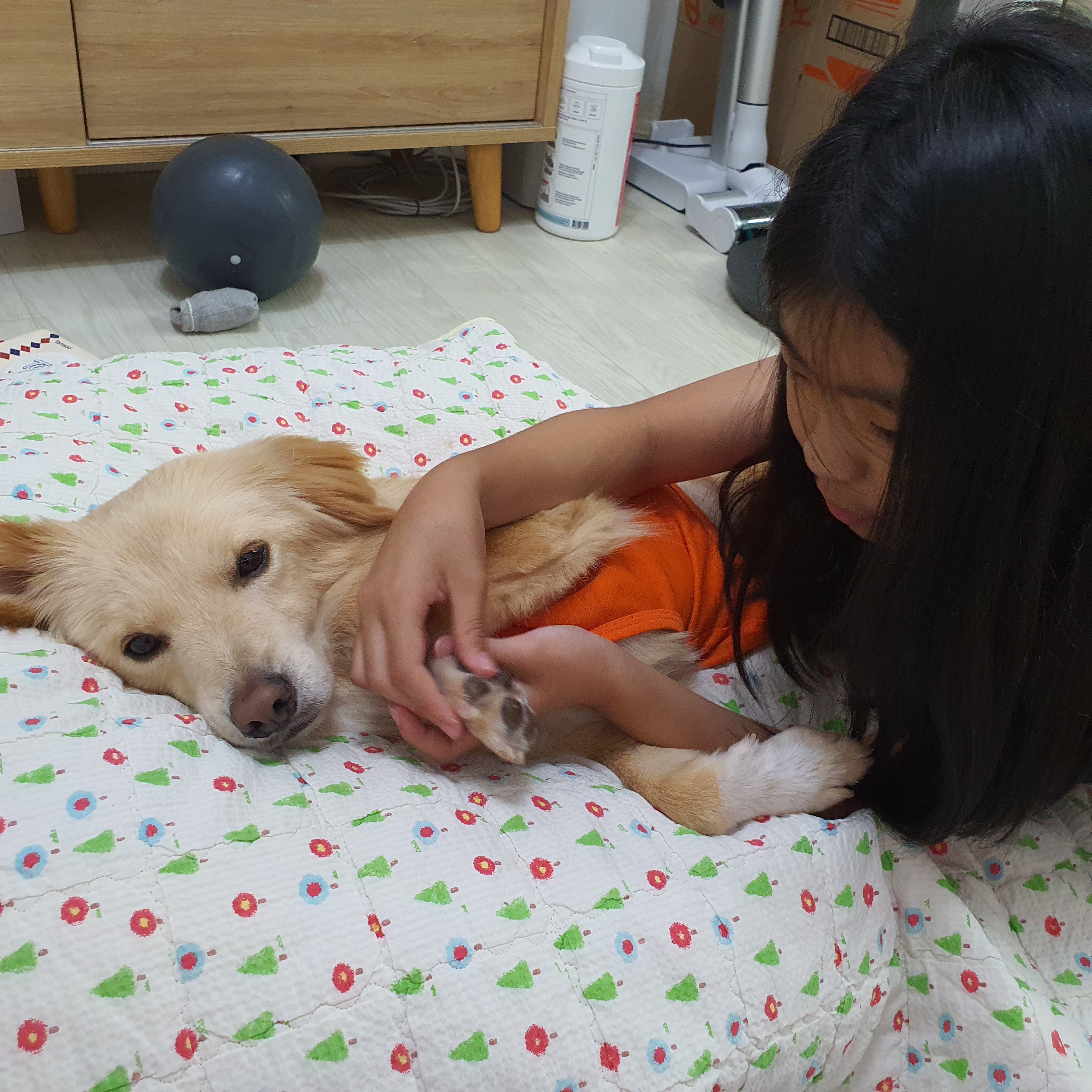 자몽이(구 육콩이)와 함께한 3개월