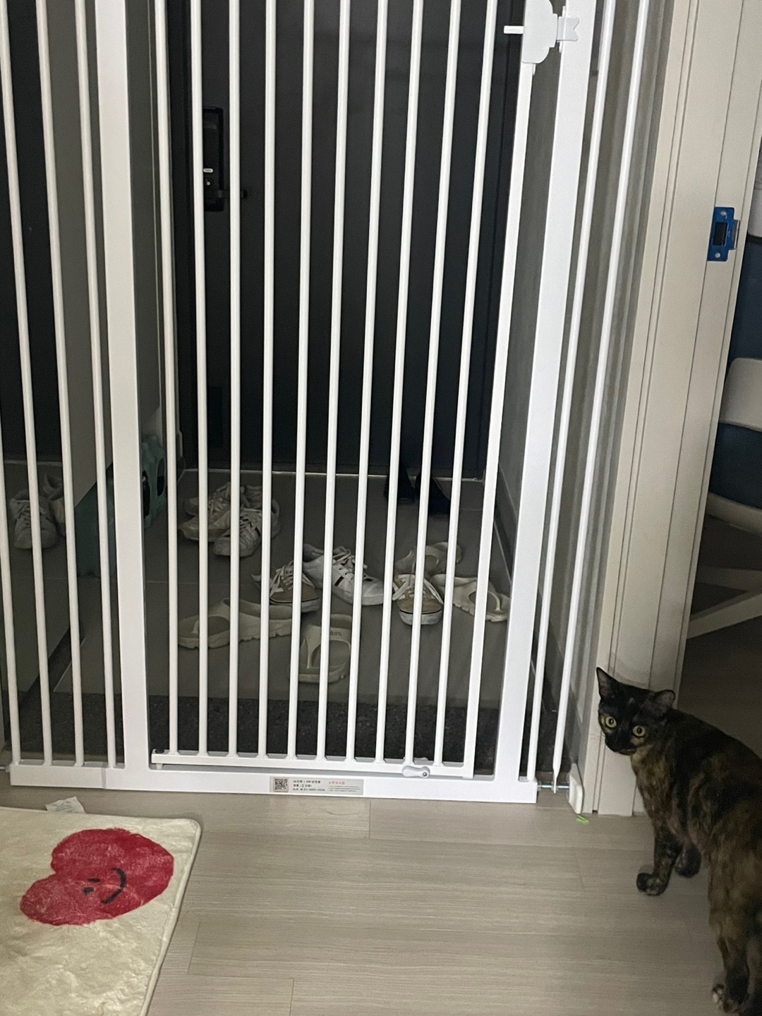 미쯔(고롱이) 와의 1 month