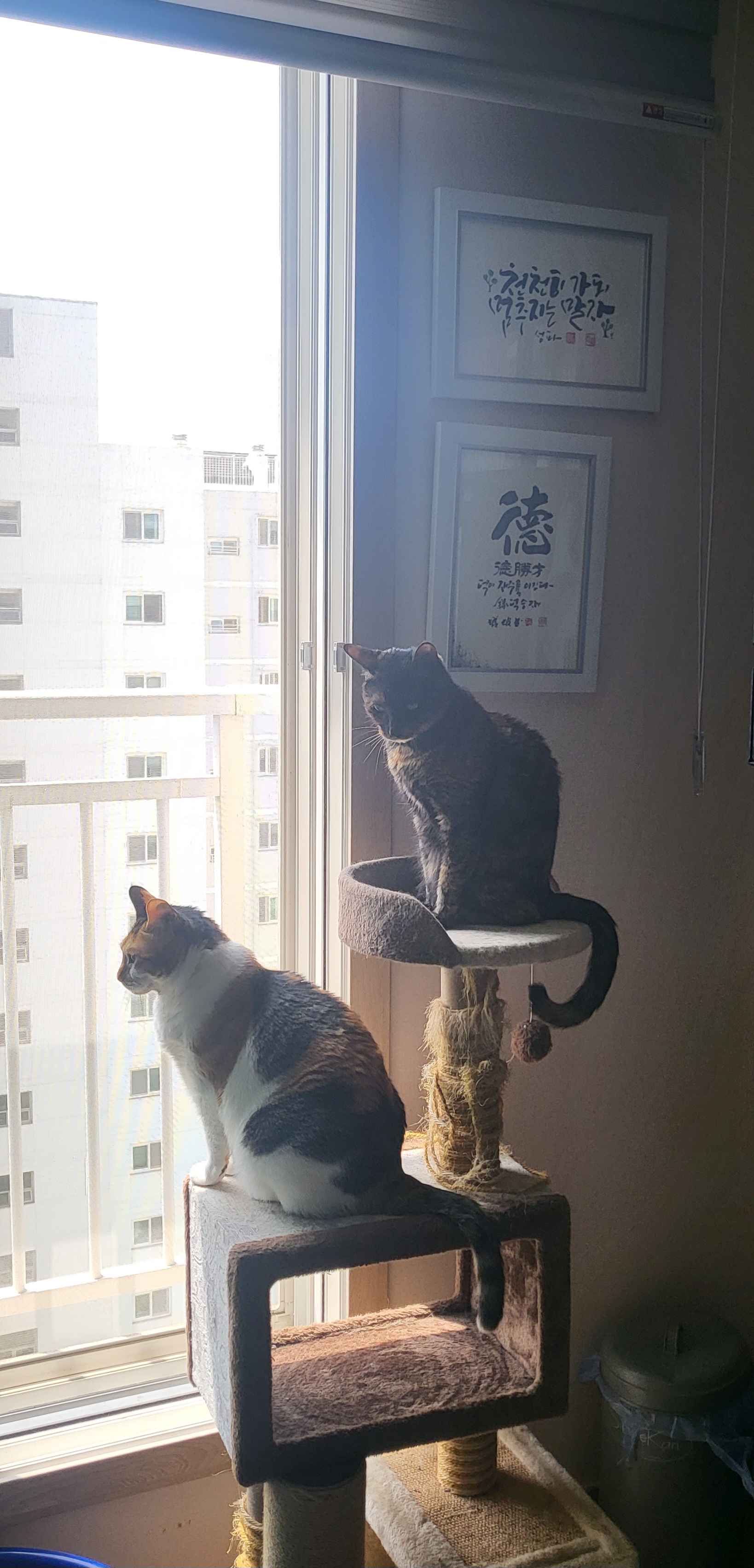 귀욤이 뽀얌이 3년