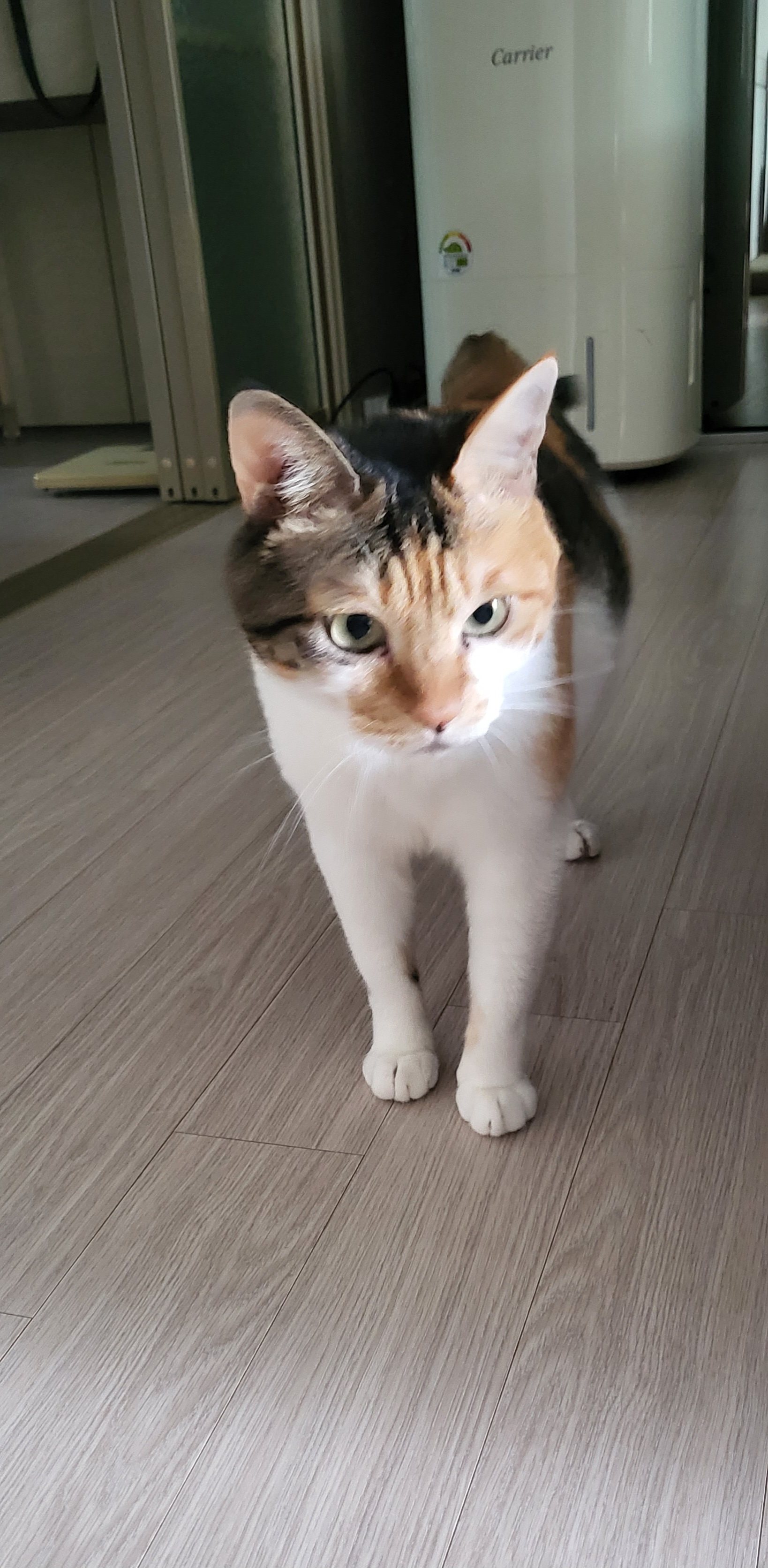 귀욤이 뽀얌이 3년