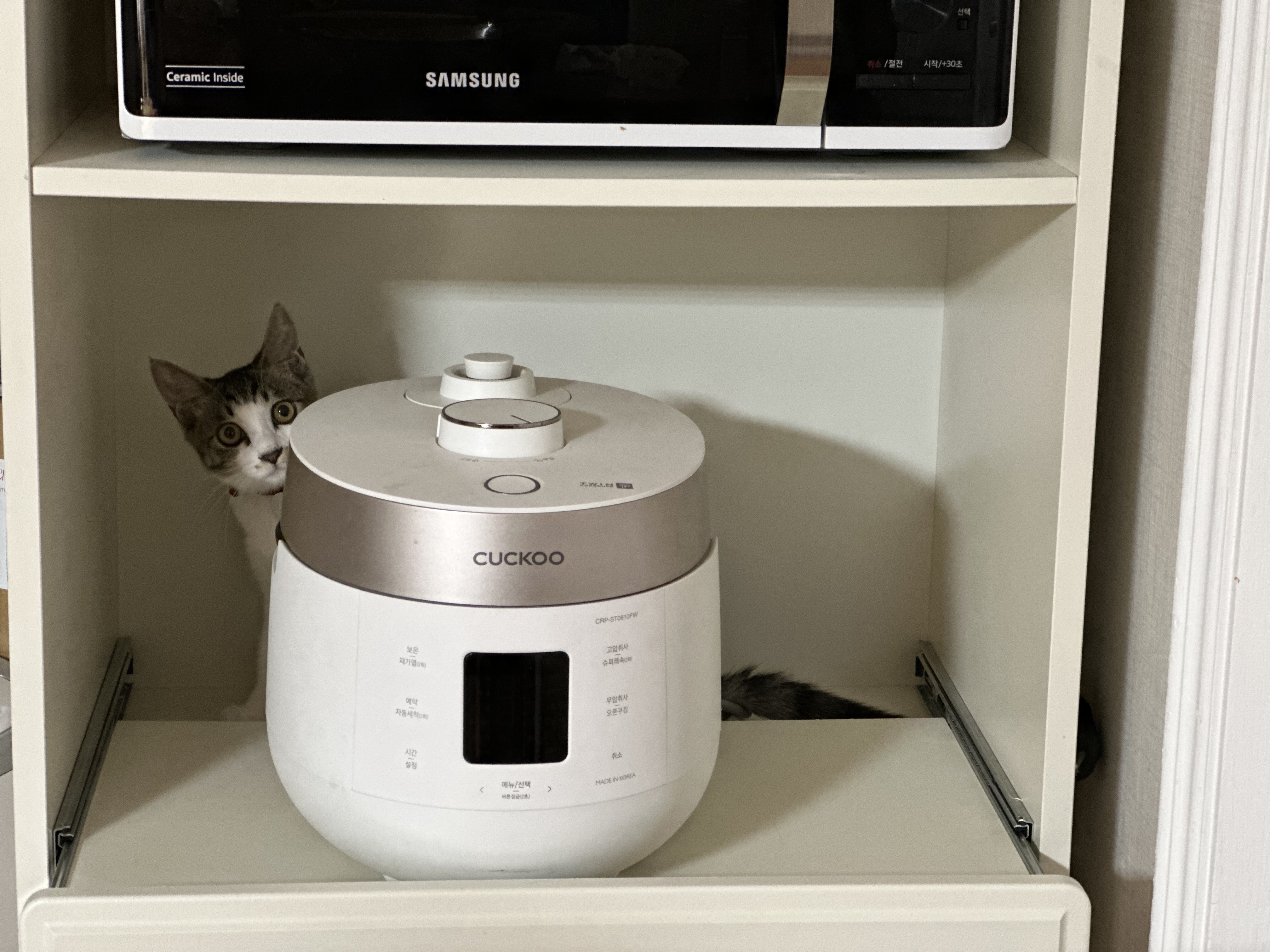 꼬무(동자연_유노)와 함께 한 30일