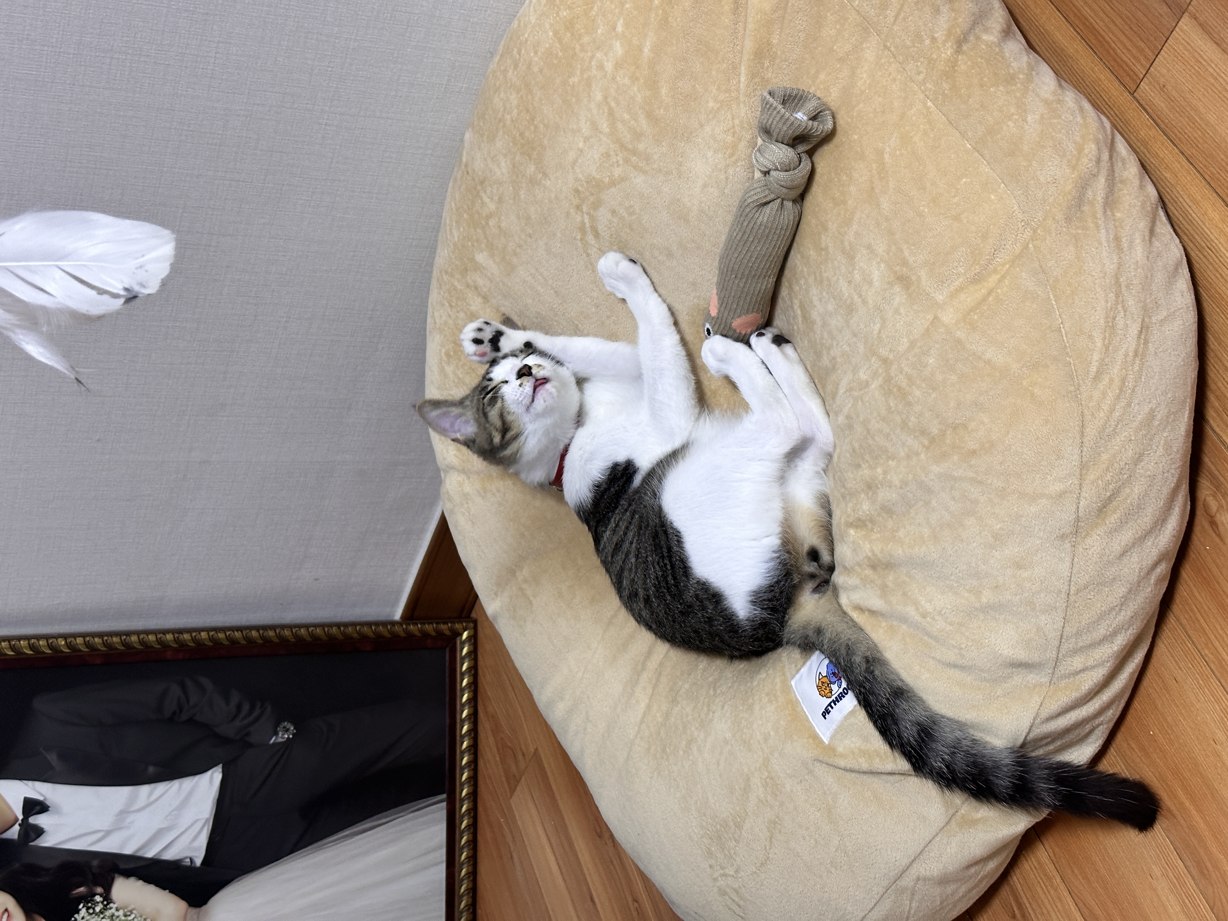 꼬무(동자연_유노)와 함께 한 30일