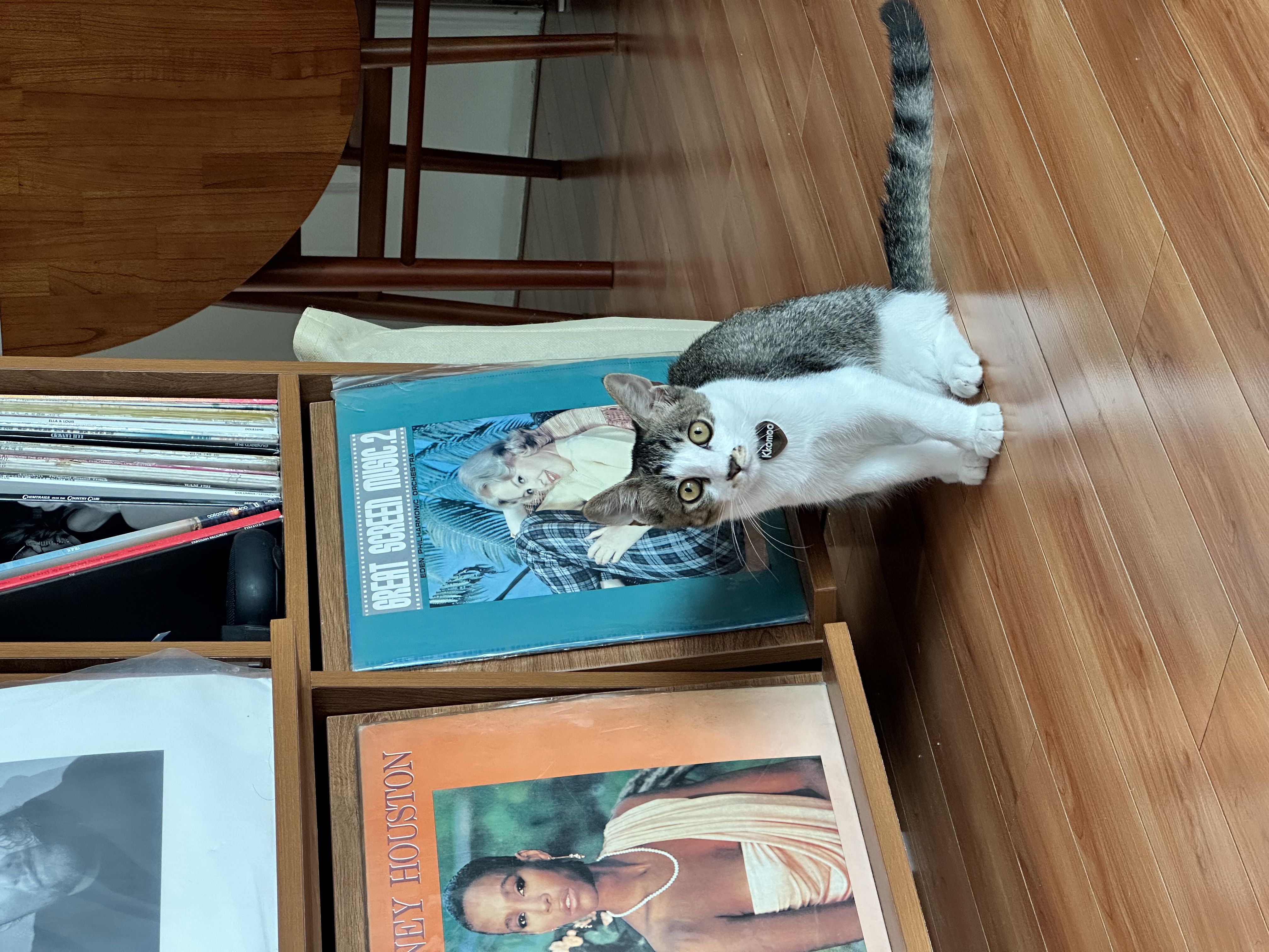 꼬무(동자연_유노)와 함께 한 30일