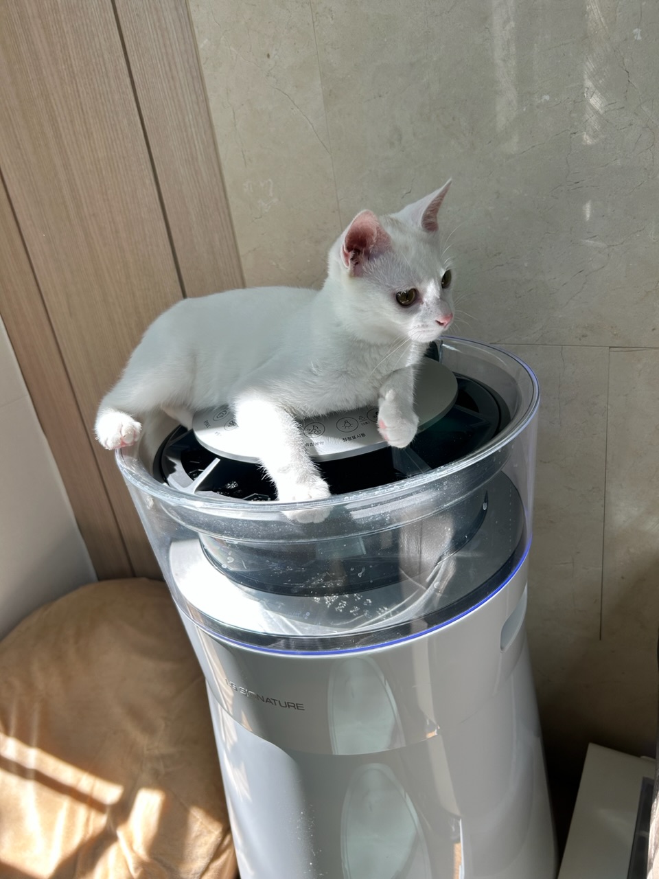 다윈이와의 한 달