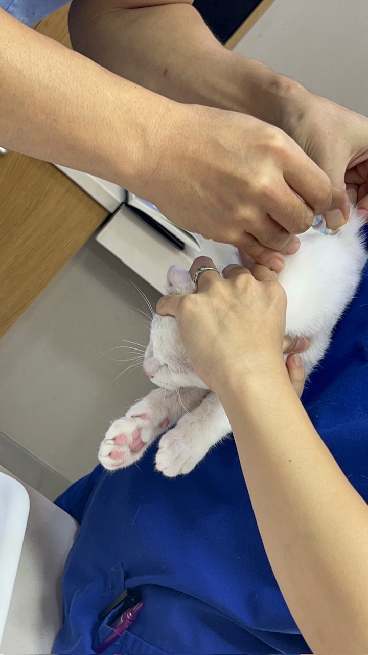 다윈이와의 한 달