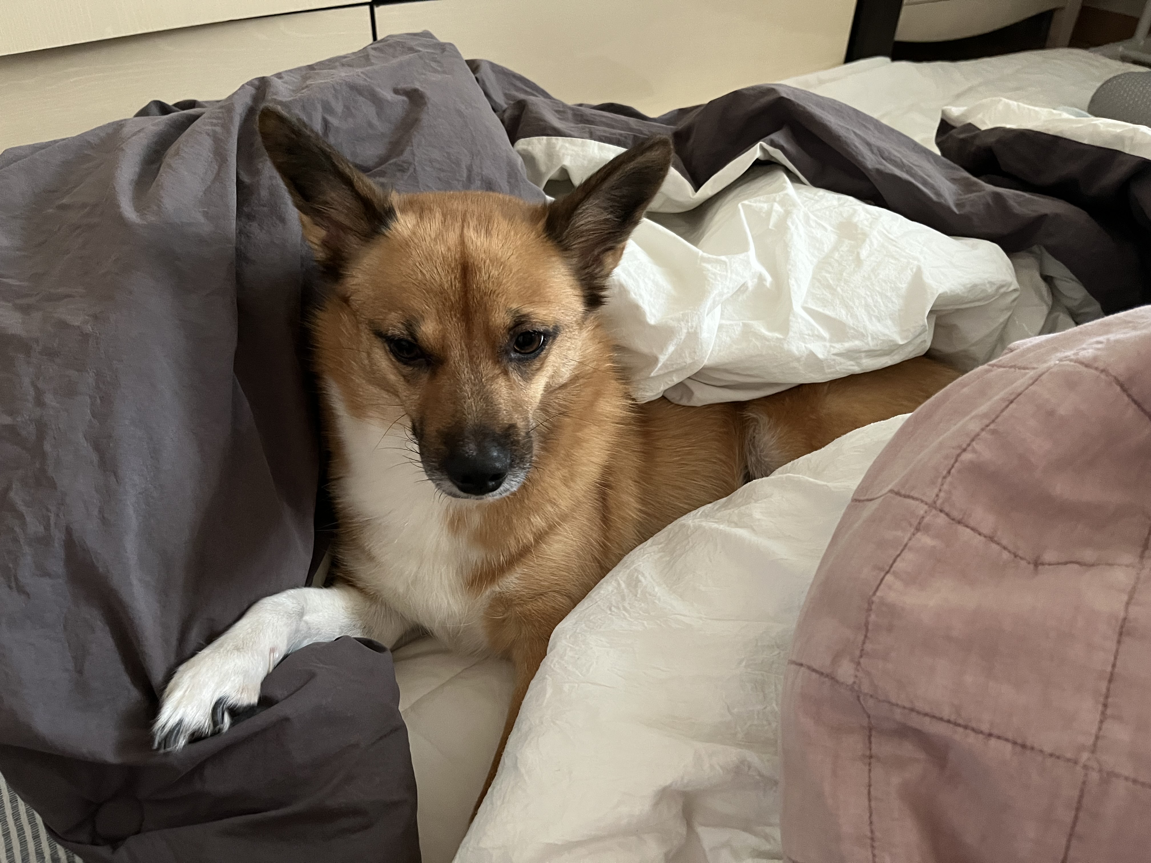 은이온지 3년차