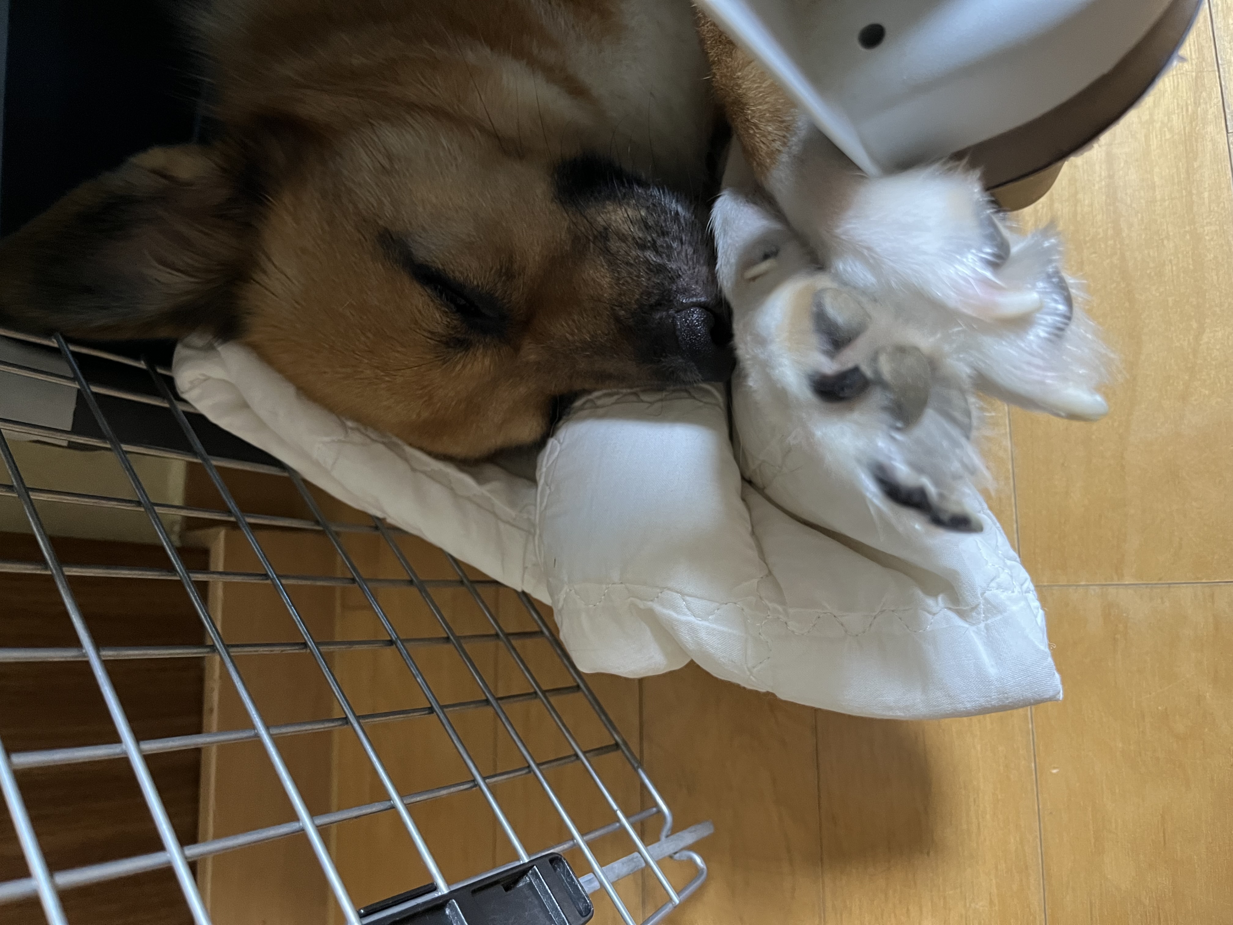 은이온지 3년차