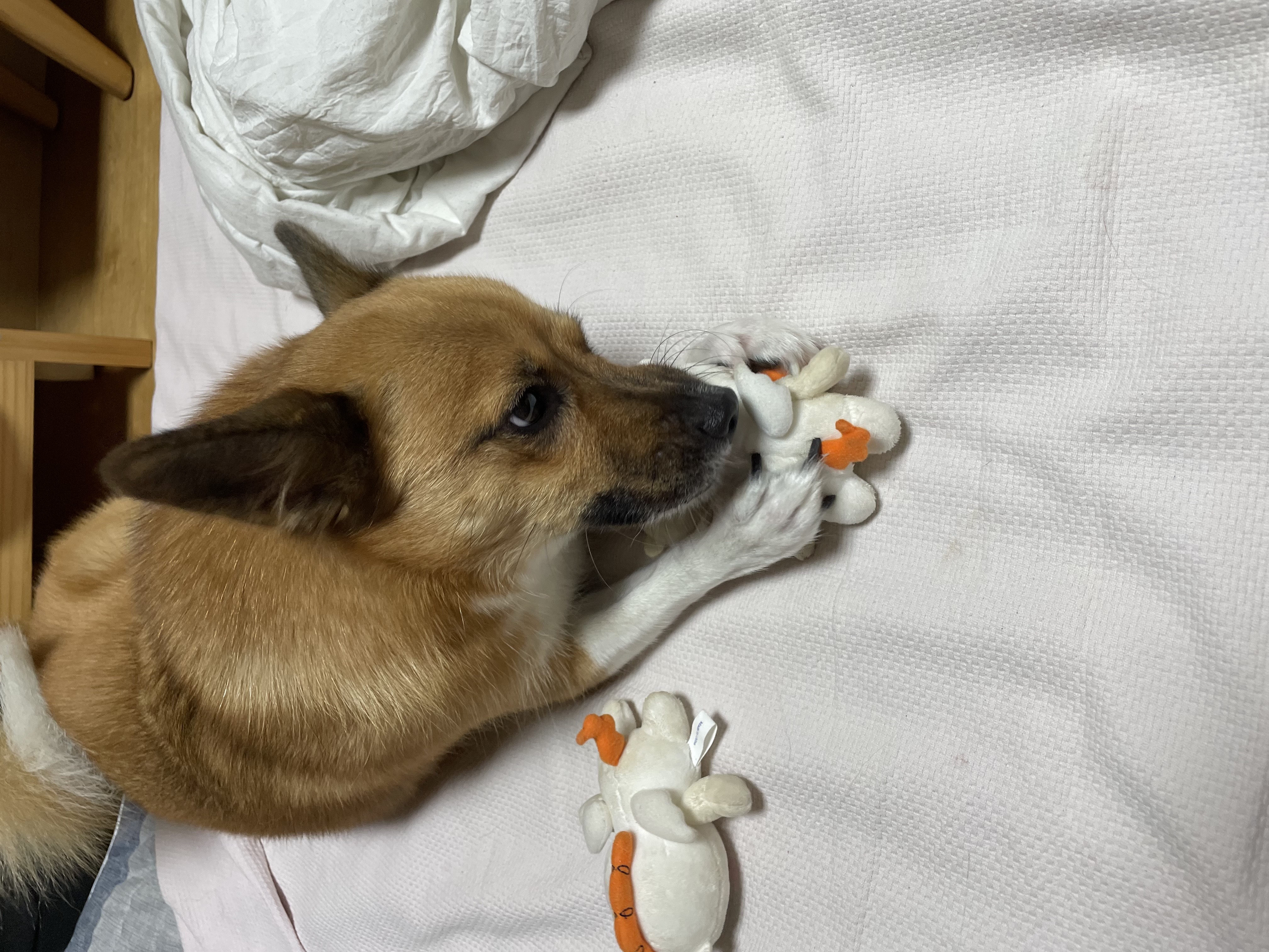 은이온지 3년차