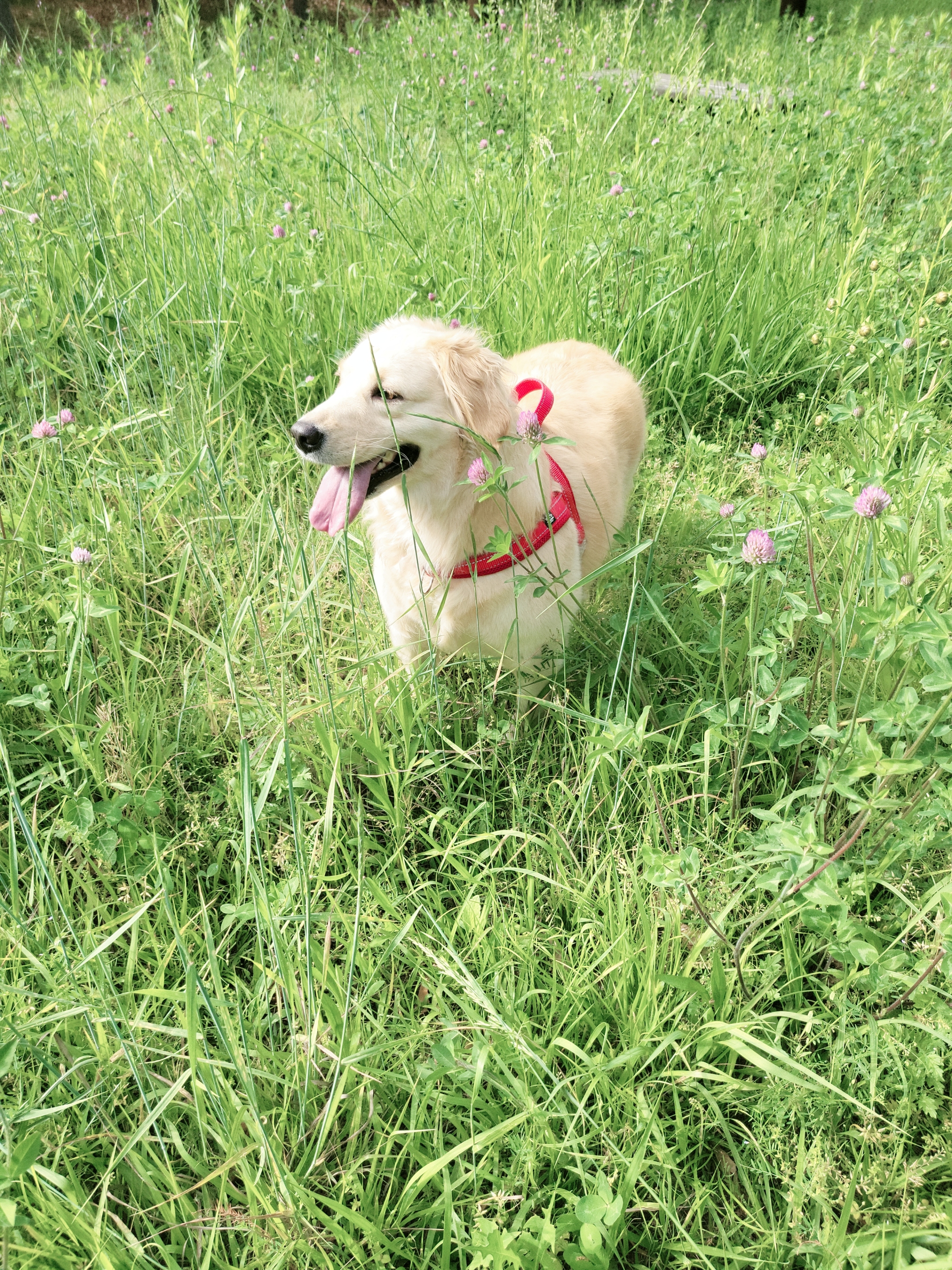 로제온지 벌써 3년ㅎ