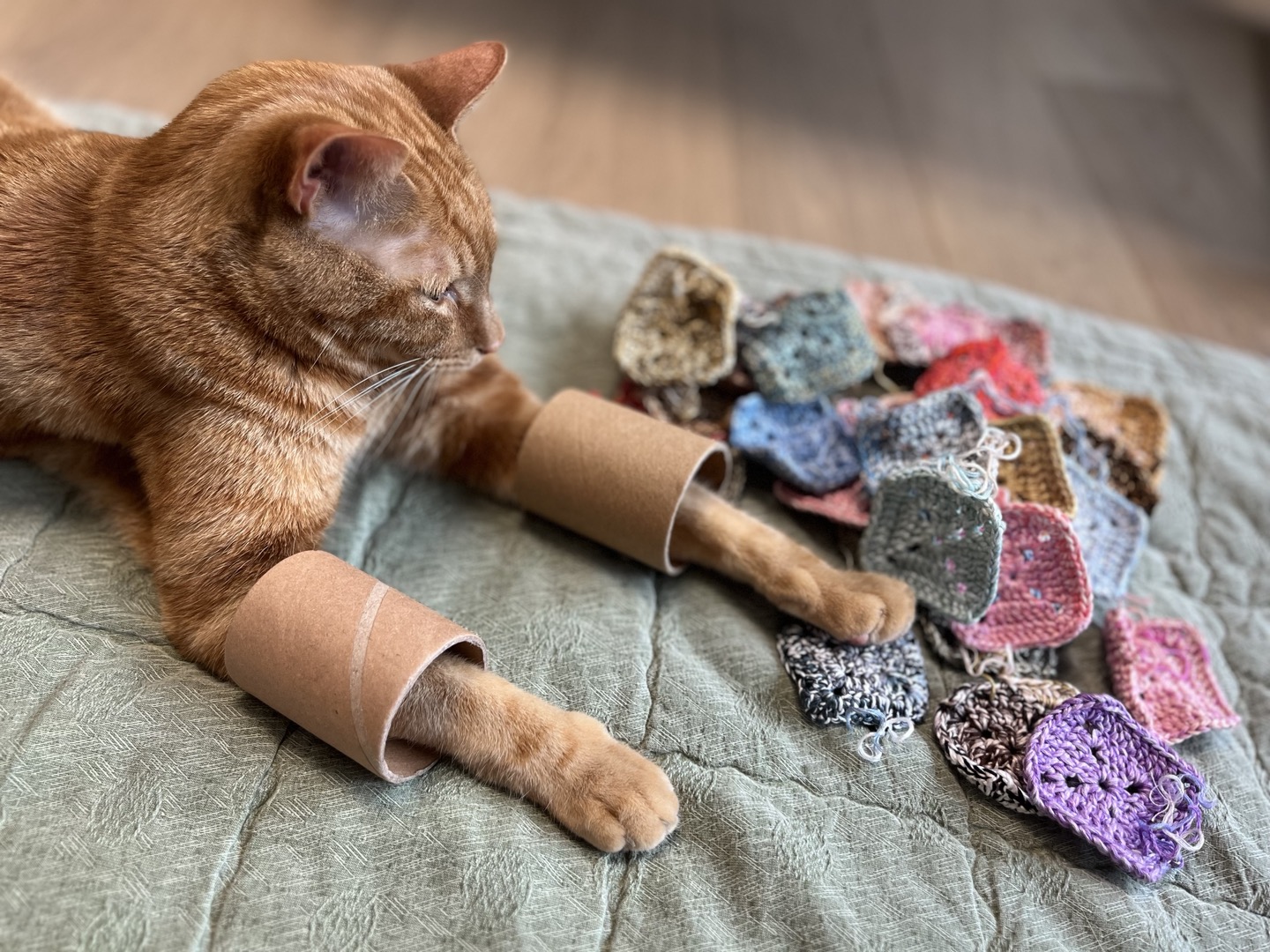 안녕하세요~ 용식이에요. (일년후)