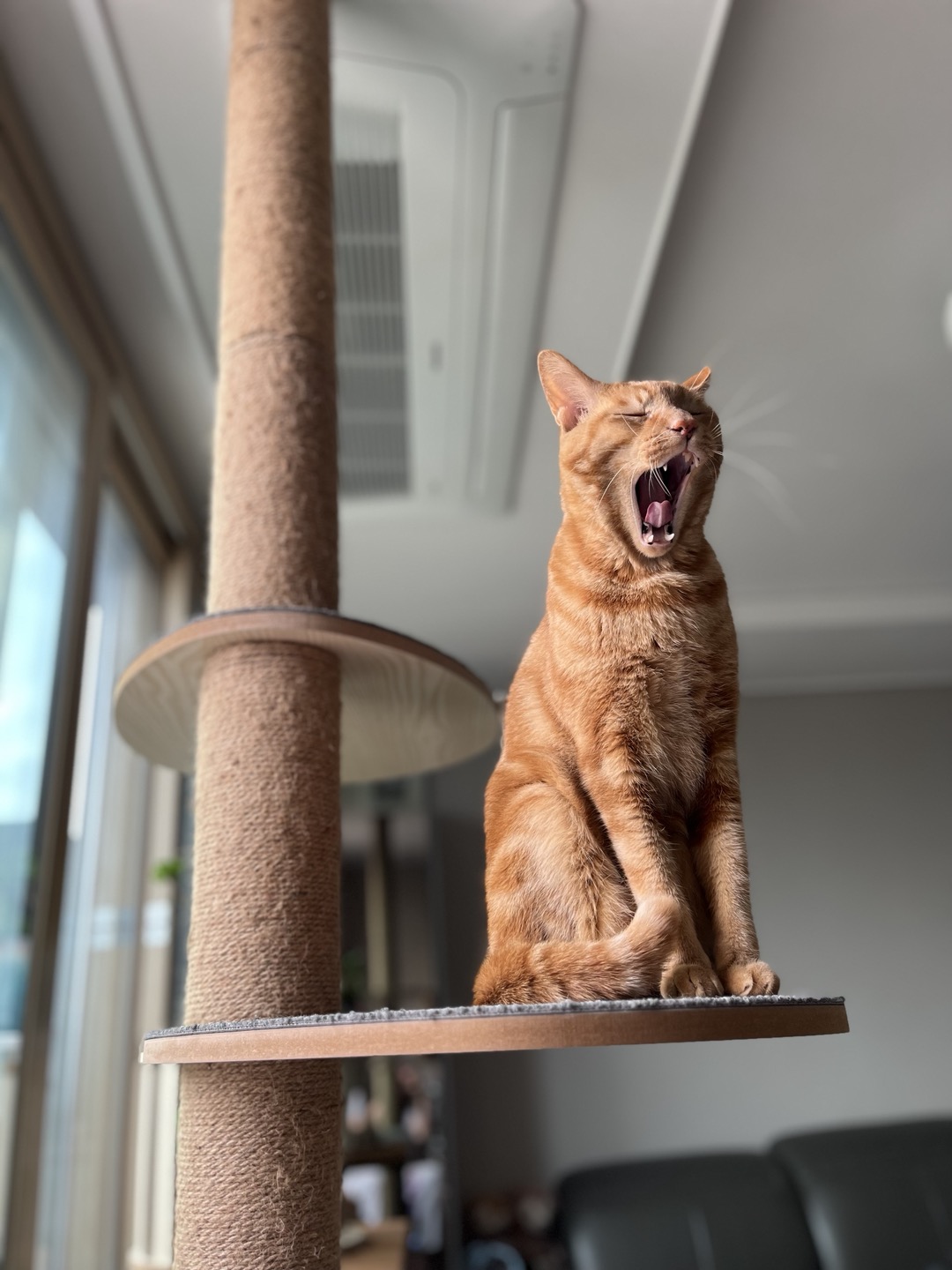 안녕하세요~ 용식이에요. (일년후)