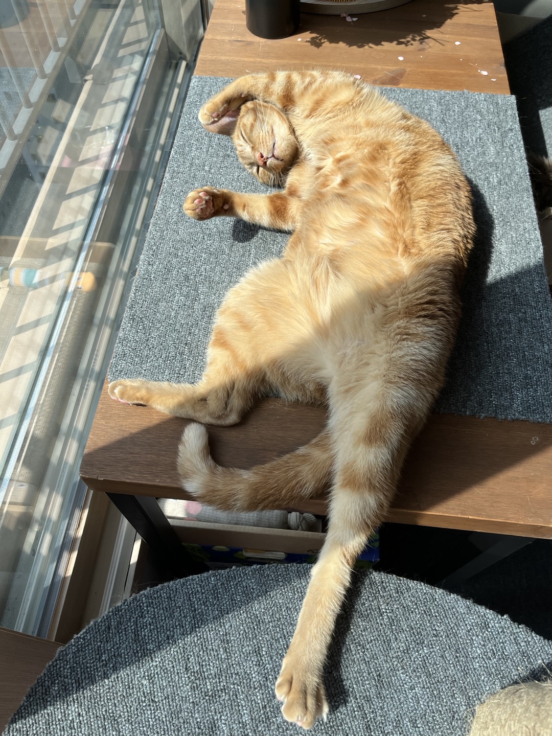 안녕하세요~ 용식이에요. (일년후)