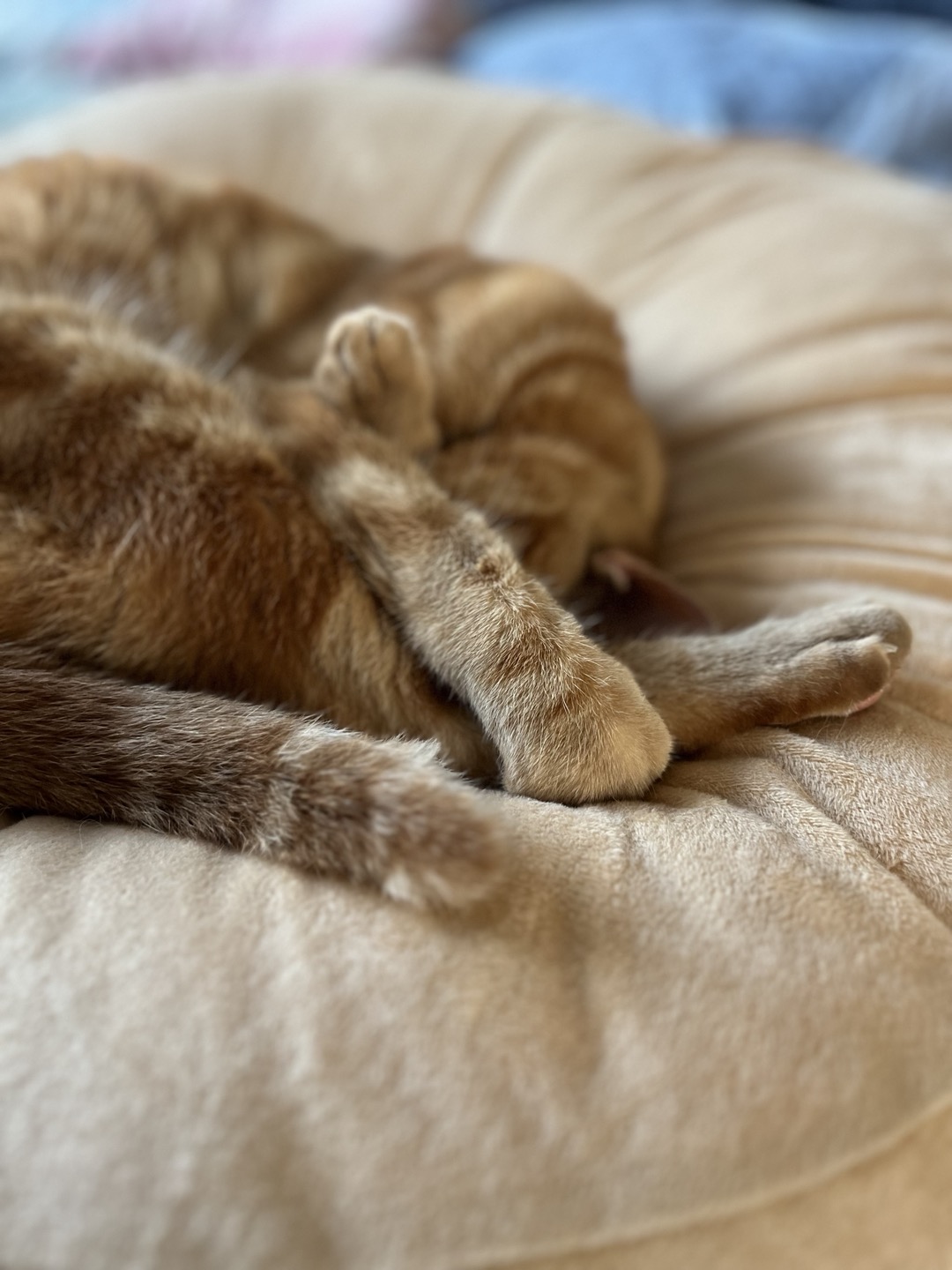 안녕하세요~ 용식이에요. (일년후)