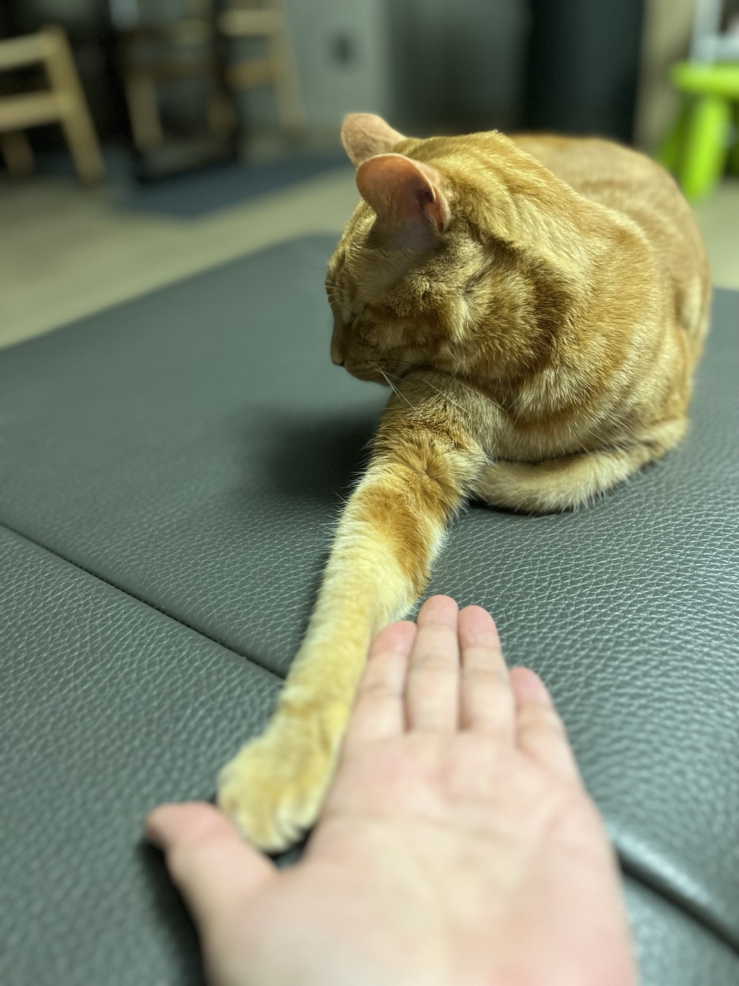 안녕하세요~ 용식이에요. (일년후)