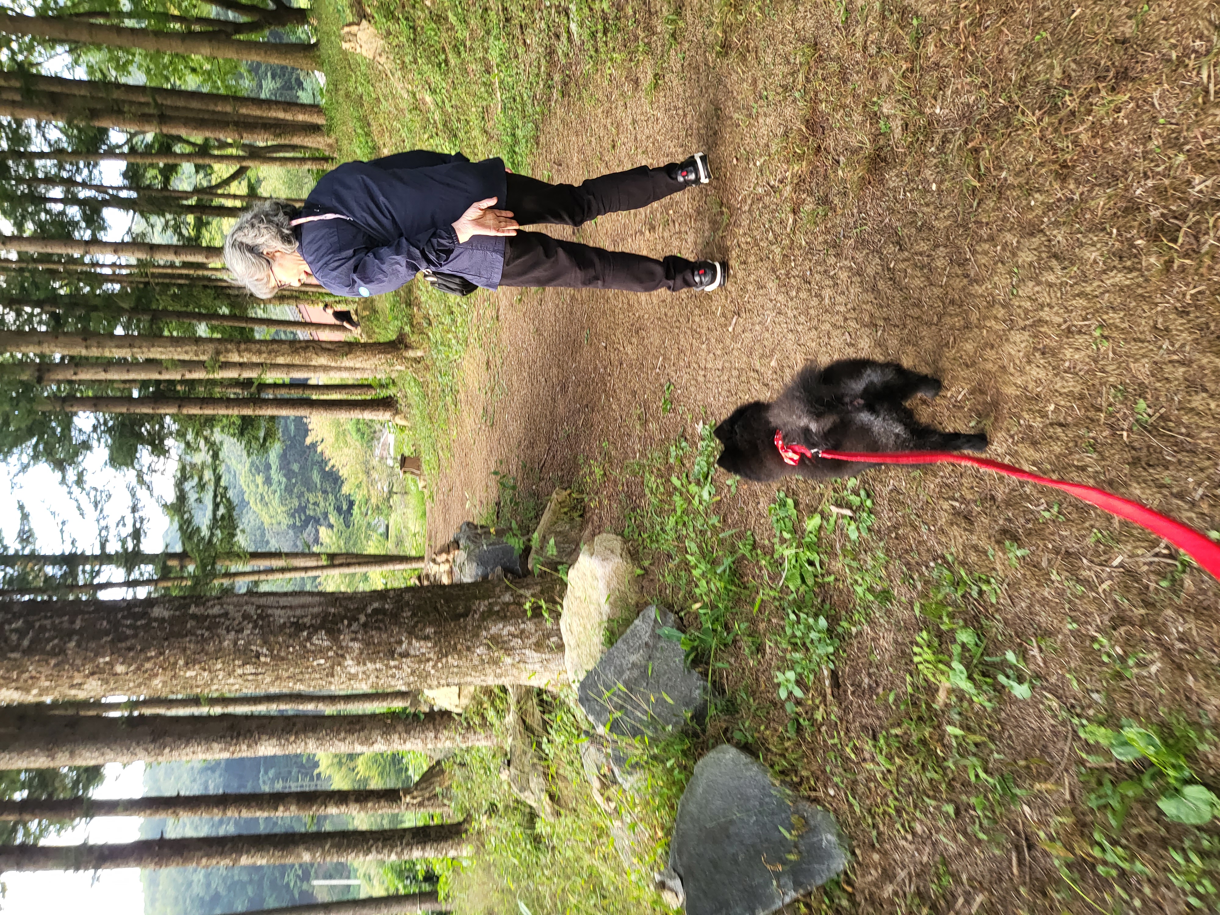 포포(구 포4)와 가족이 된지 5주년이 되었습니다