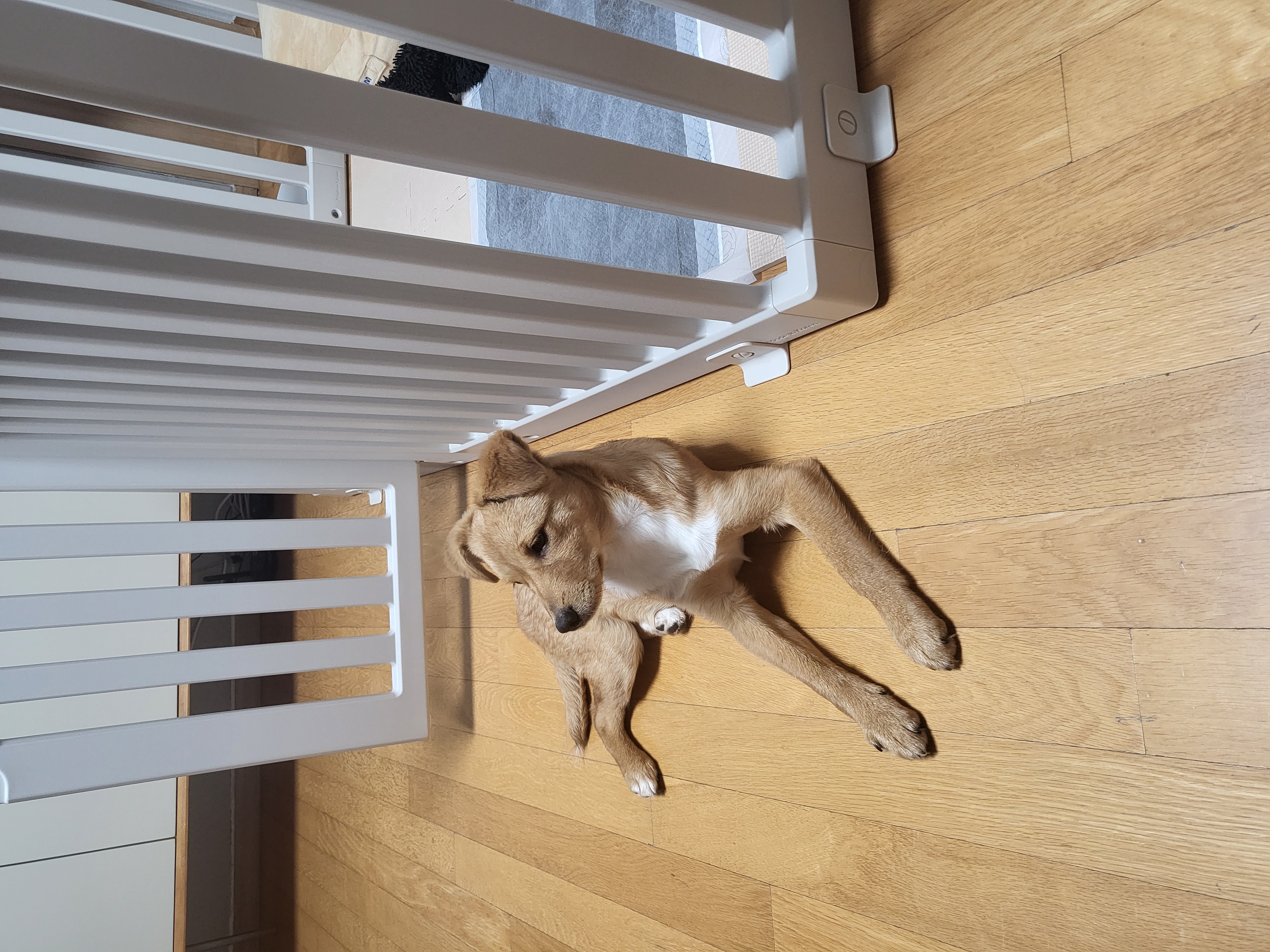 찌그(구 깜빛이) 일주일 후기입니다:D