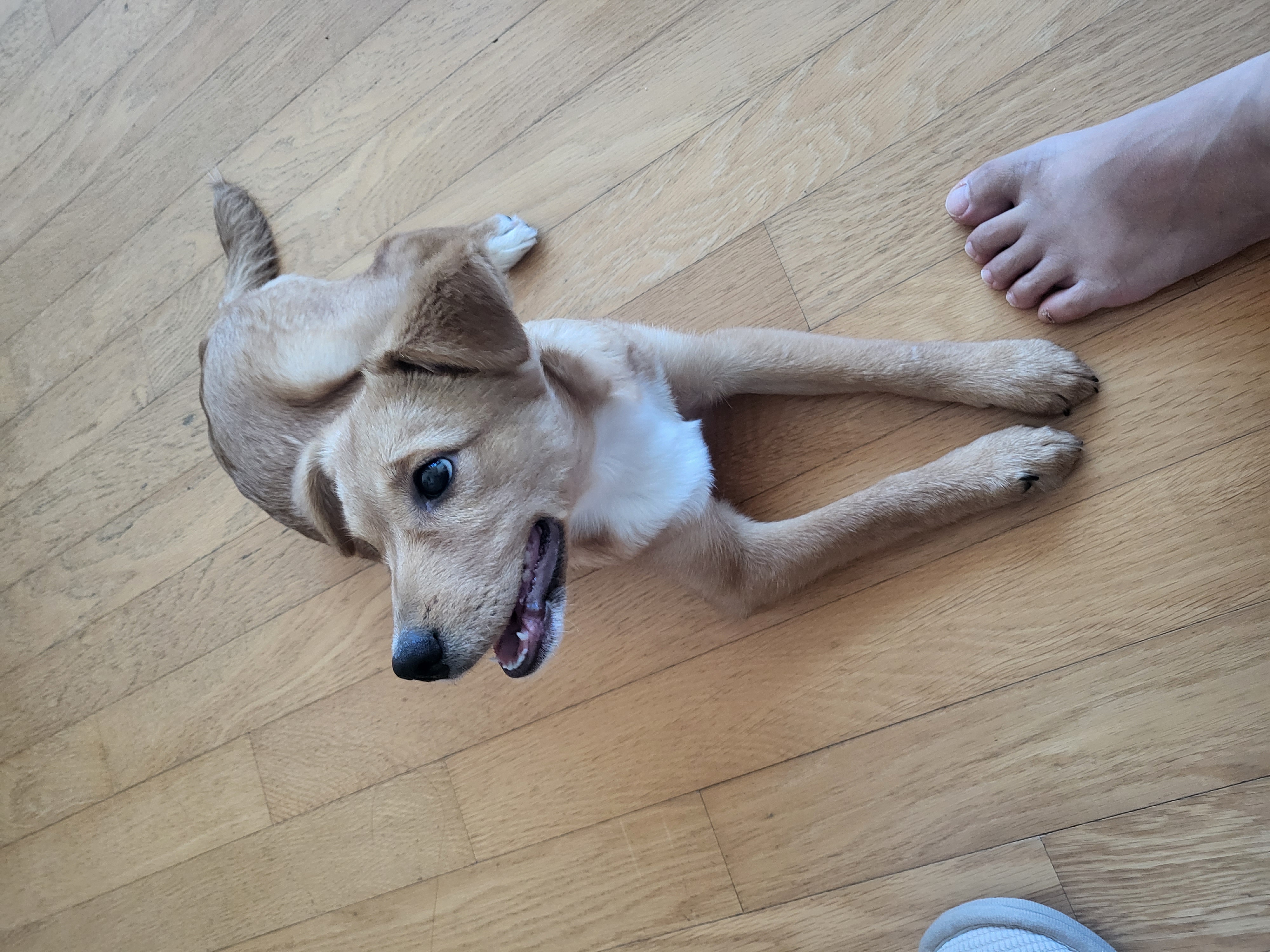 찌그(구 깜빛이) 일주일 후기입니다:D