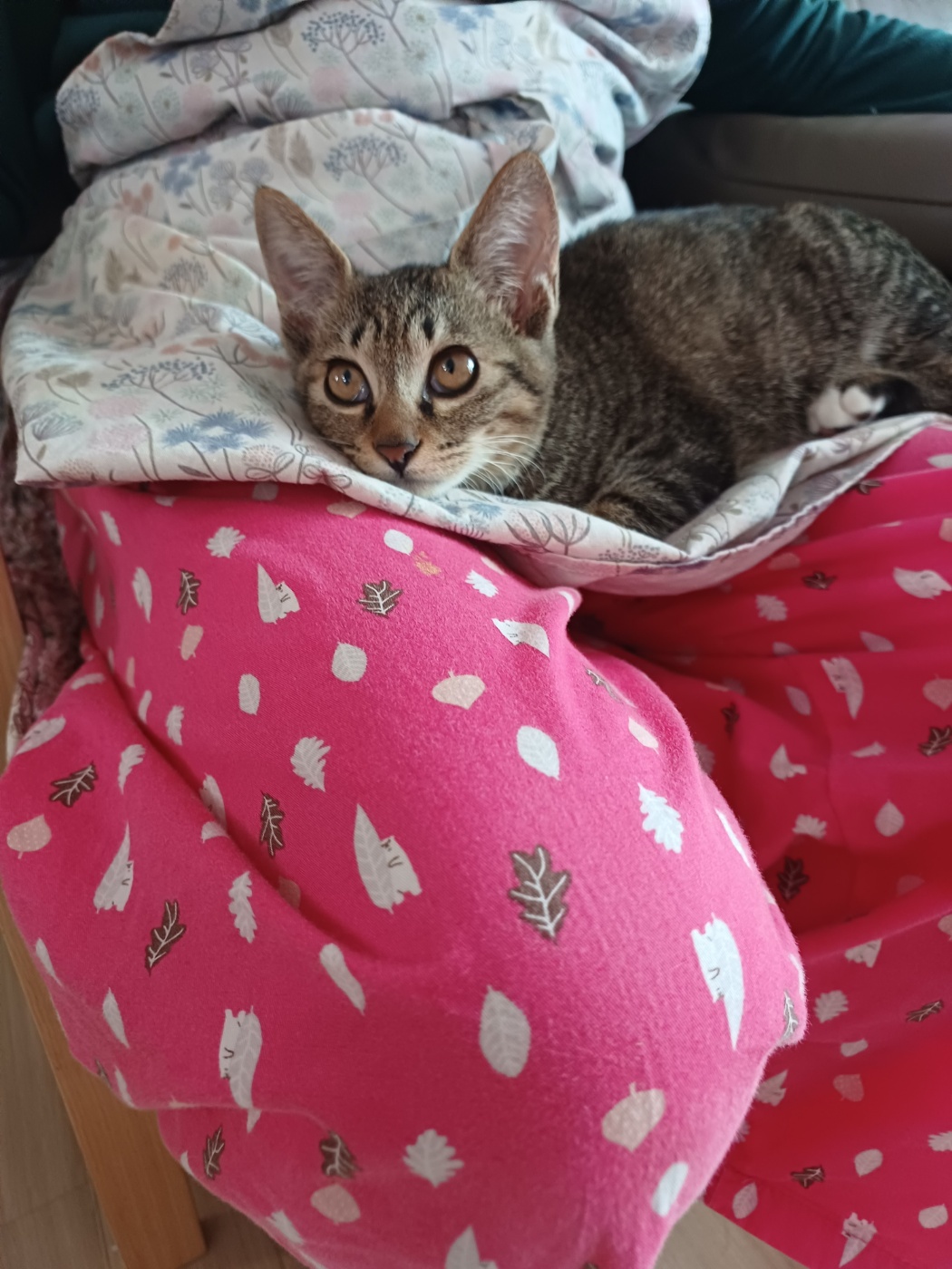 천방지축 승희온지 5일째