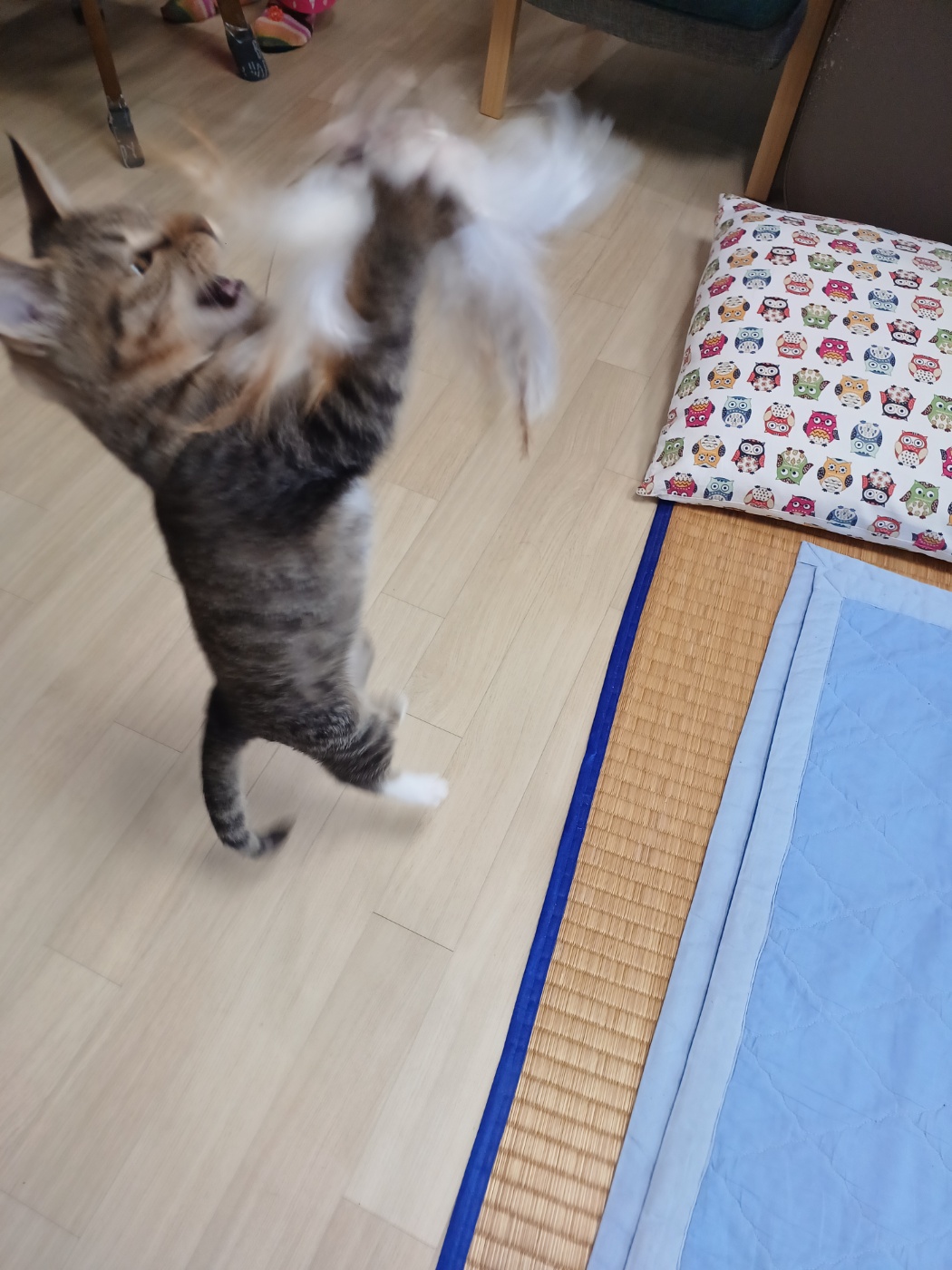 천방지축 승희온지 5일째